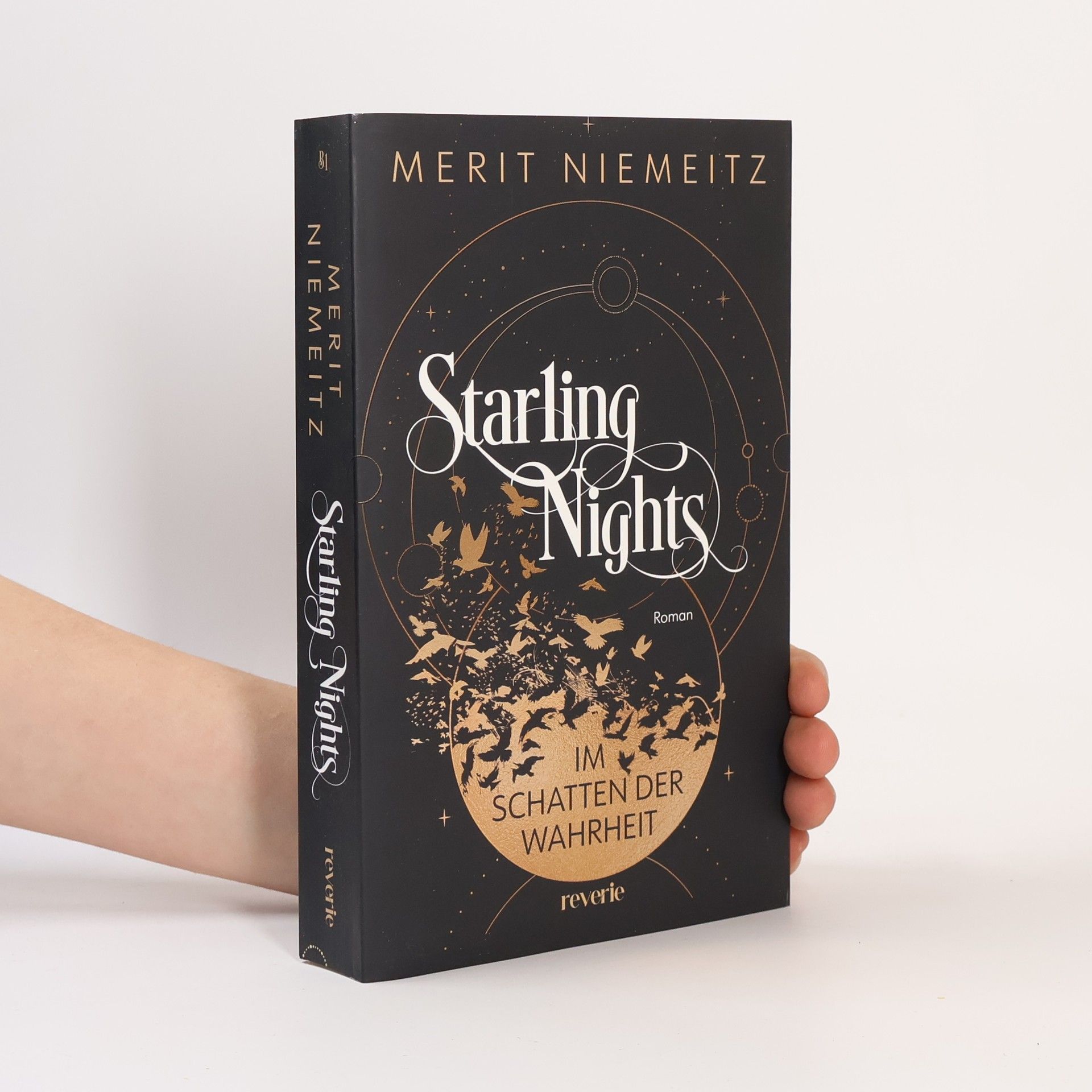 Merit Niemeitz Starling Nights 1