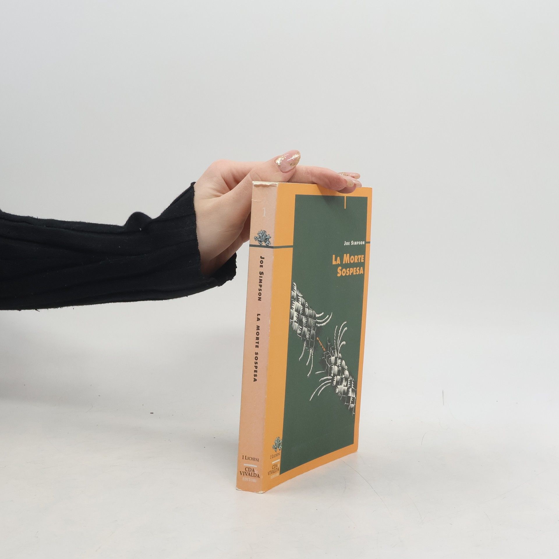 Joe Simpson (horolezec) I Licheni - 1: La morte sospesa