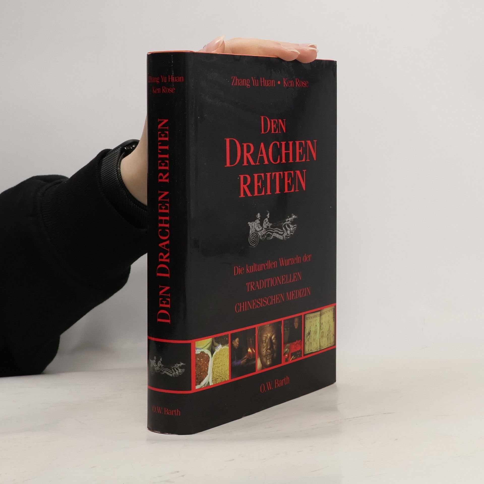 Yuhuan Zhang Den Drachen reiten