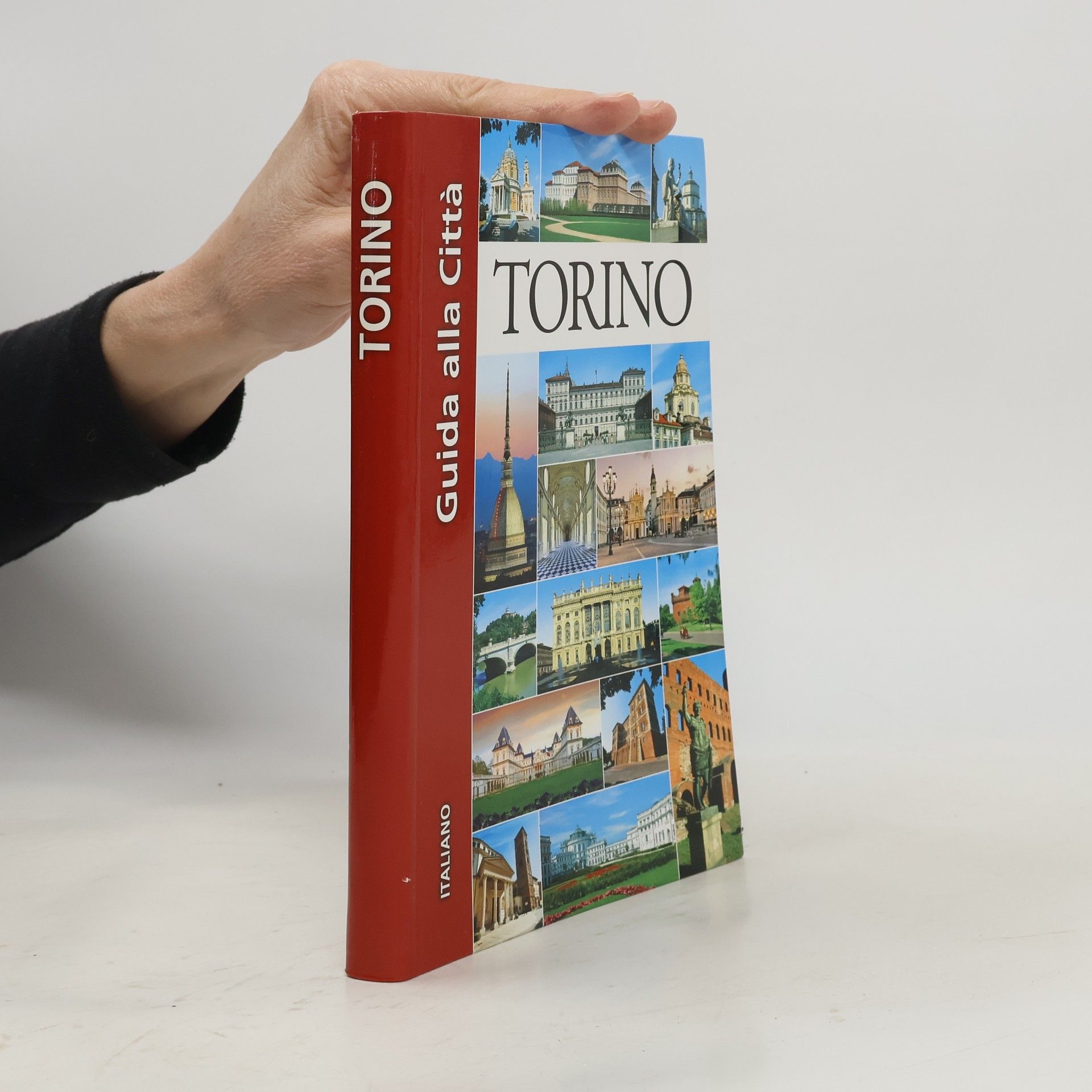 Franco Aretini Guida di Torino. Guida alla Città