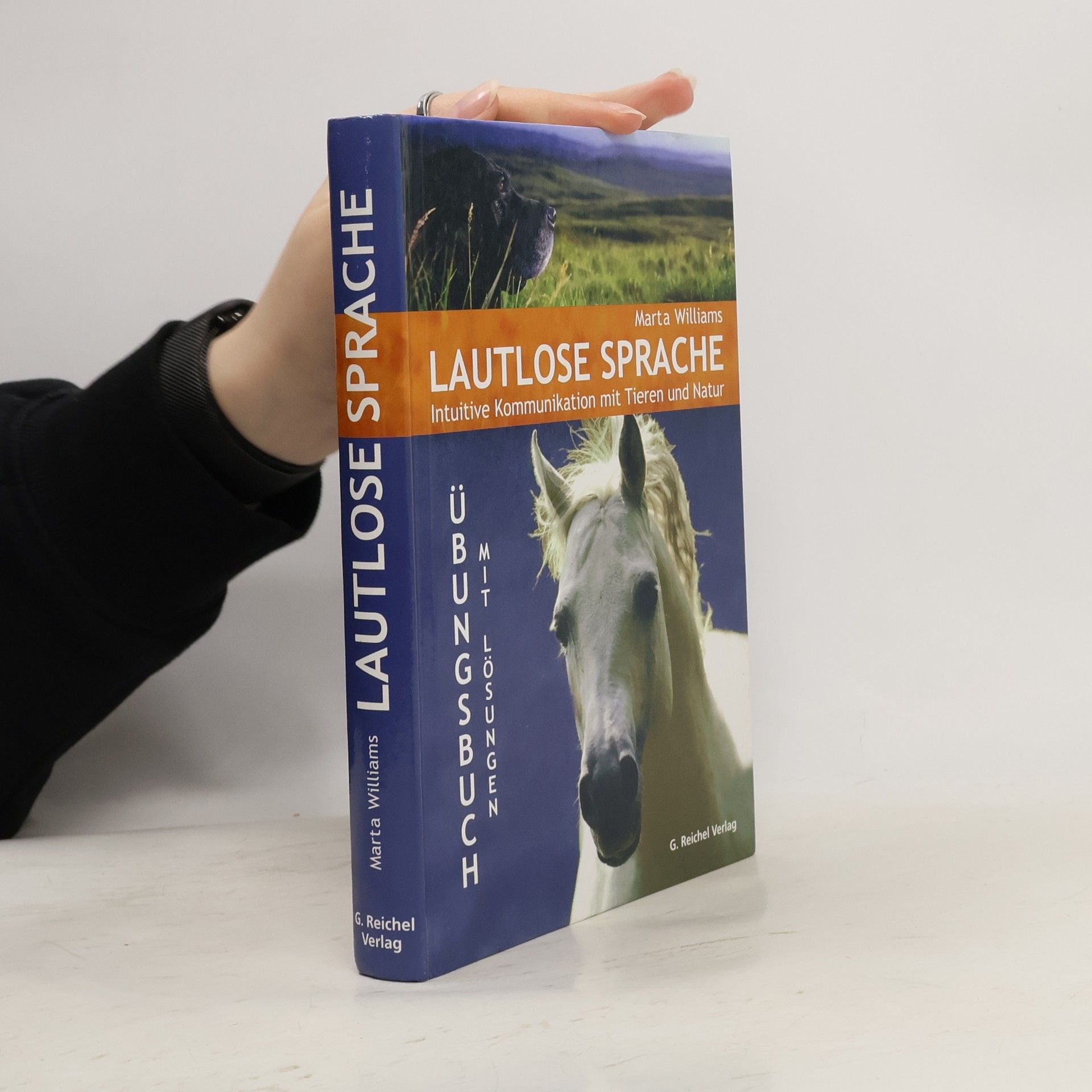 Lautlose Sprache