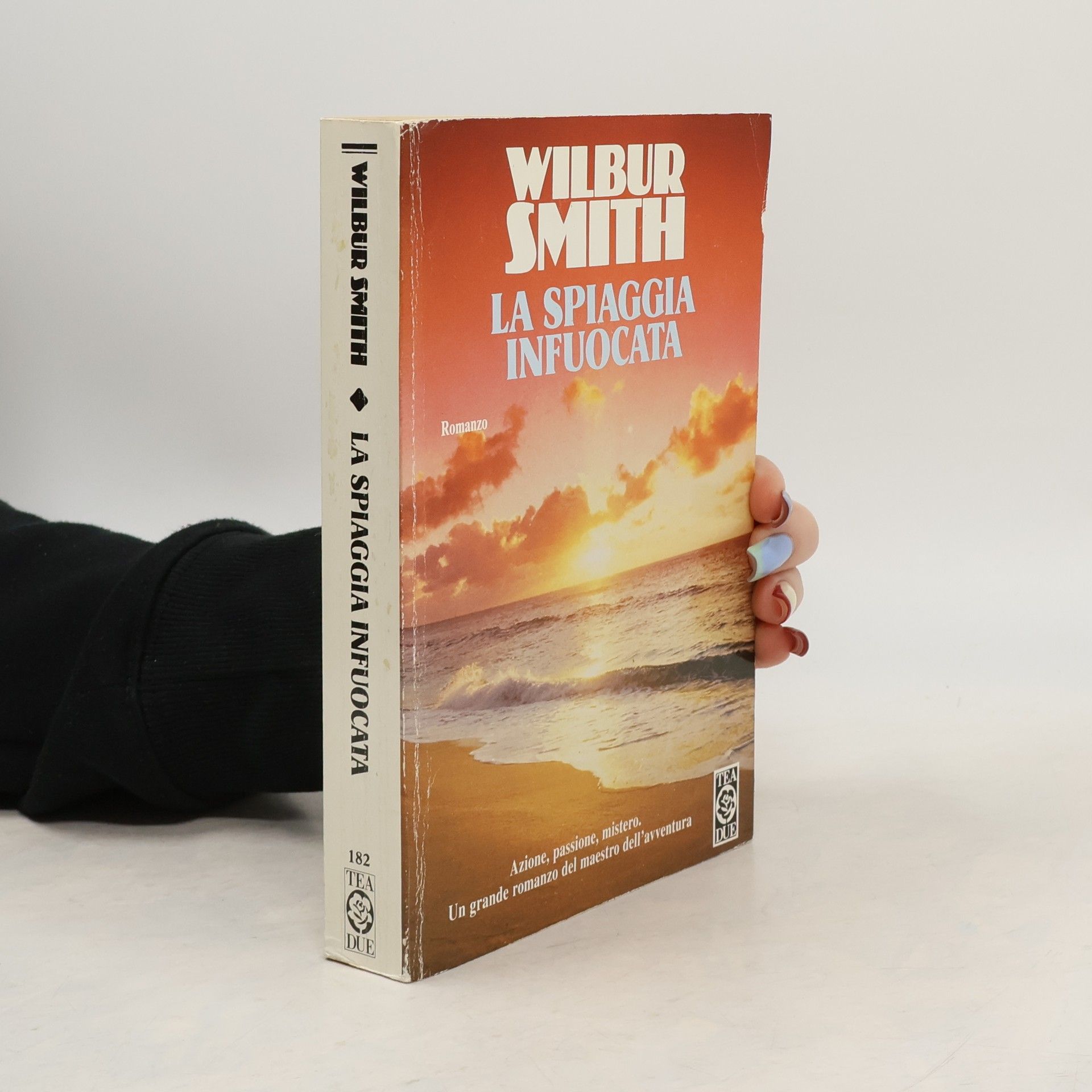 Wilbur A. Smith La spiaggia infuocata