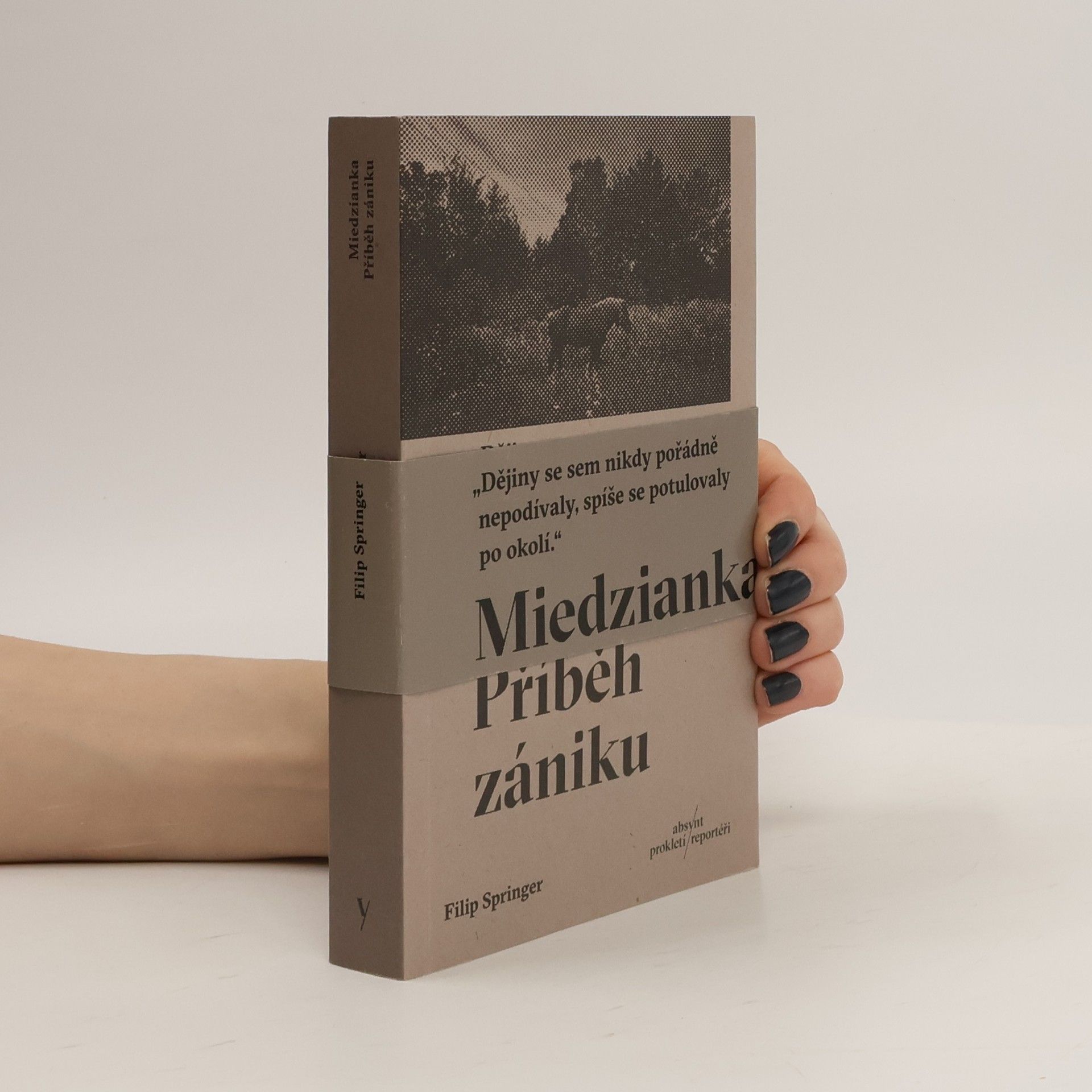 Miedzianka: Příběh zániku