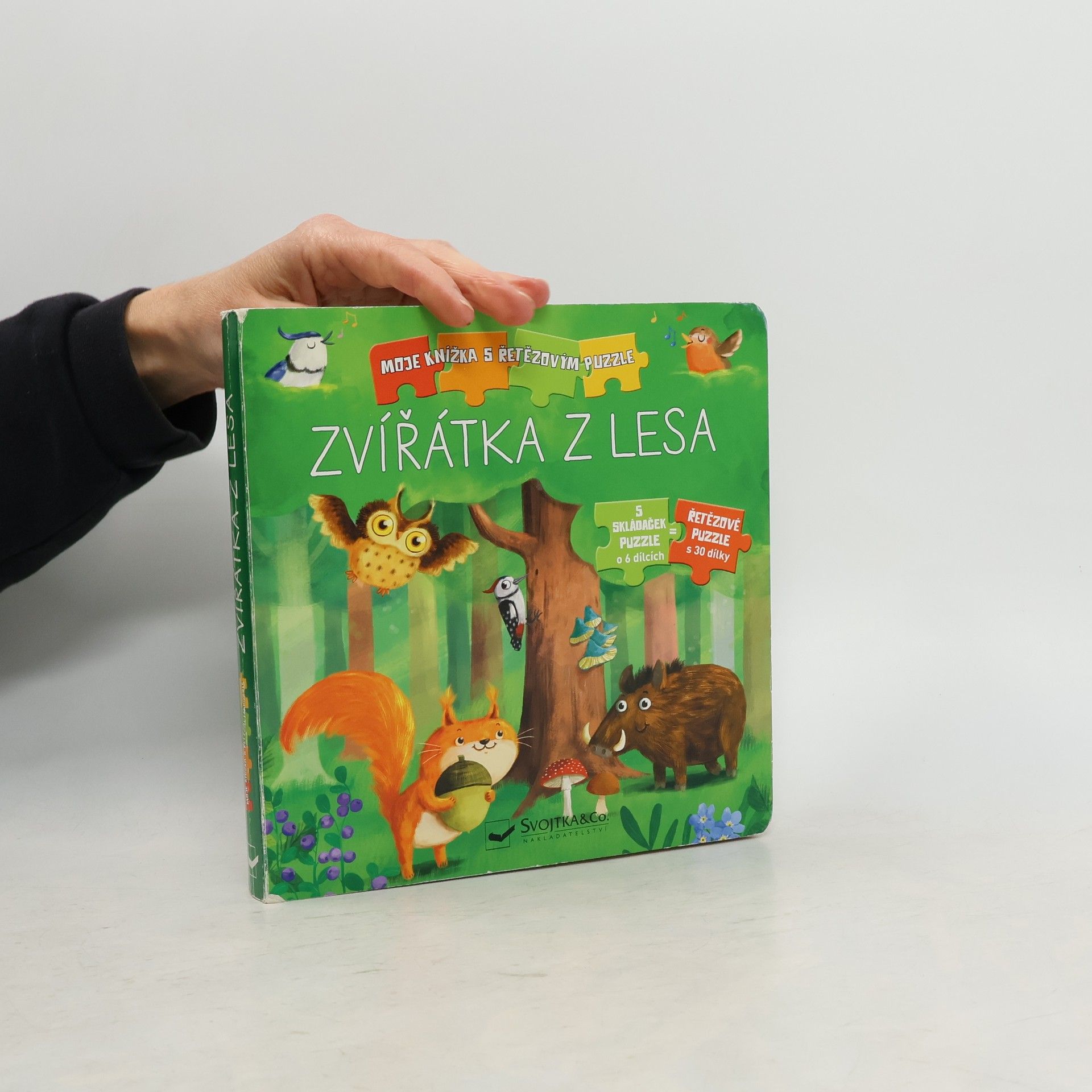 Carola von Kessel Zvířátka z lesa