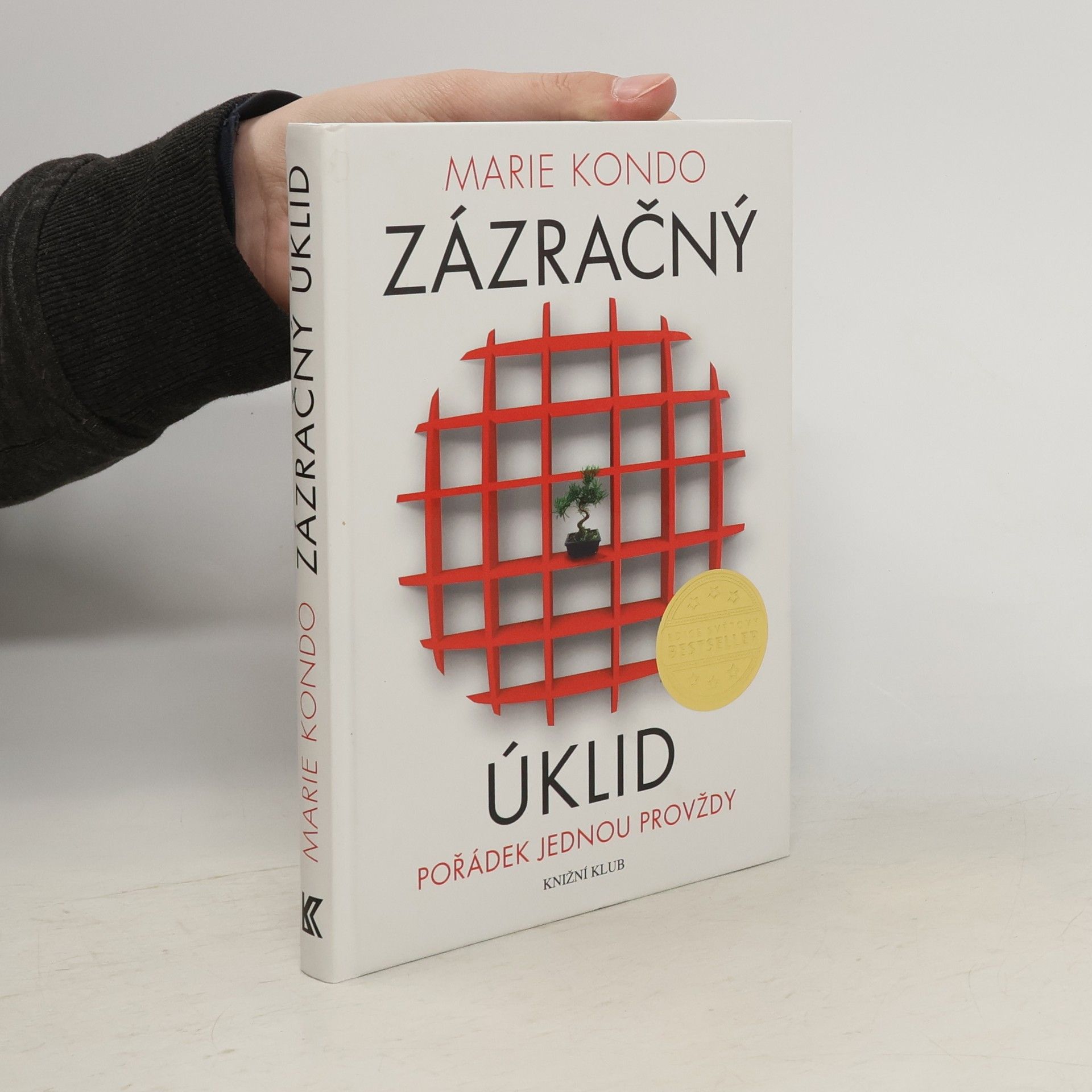 Marie Kondō Zázračný úklid
