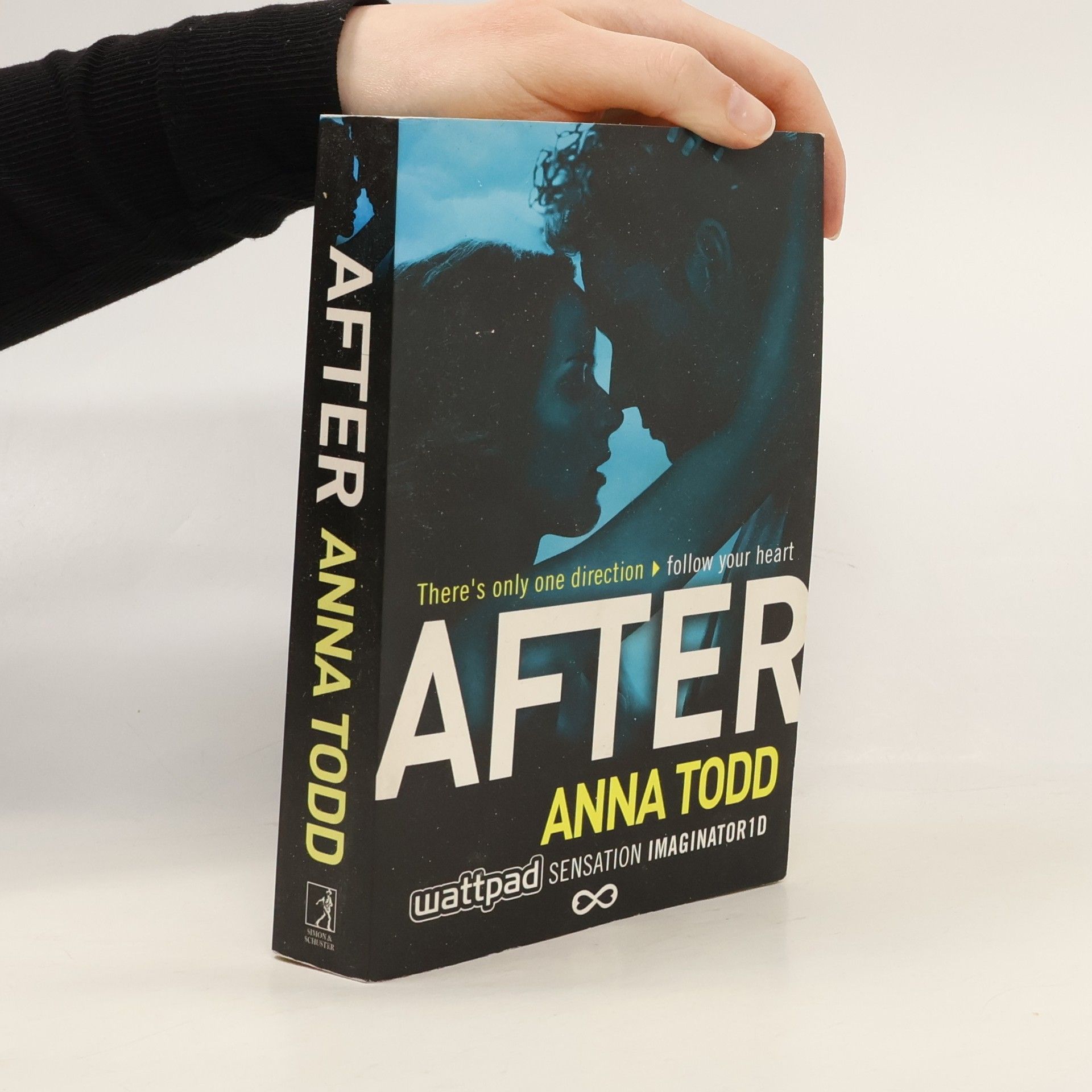 Anna Todd After