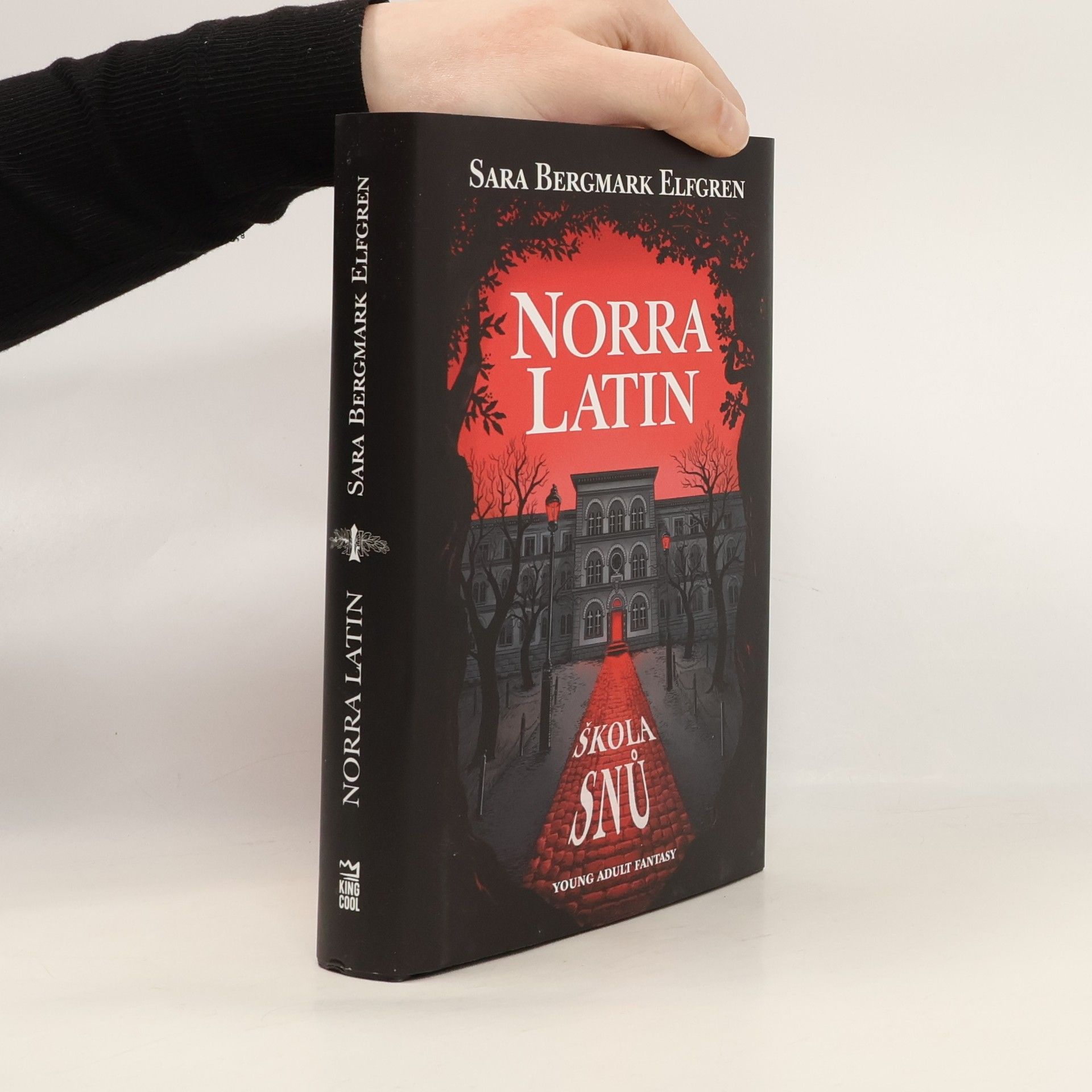 Sara Bergmark Elfmark Norra Latin. Škola snů