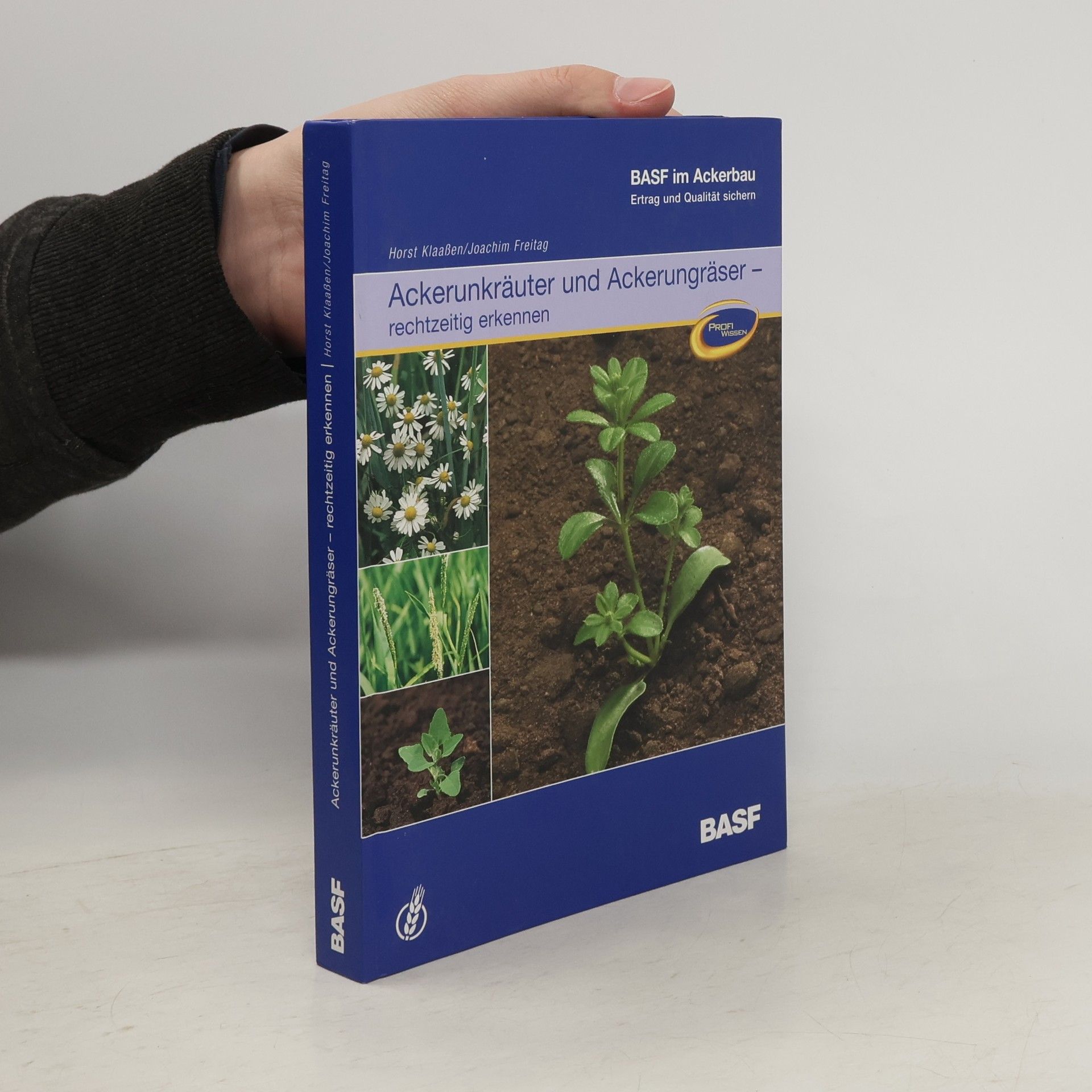 Horst Klaaßen Ackerunkräuter und Ackerungräser. Rechtzeitig erkennen