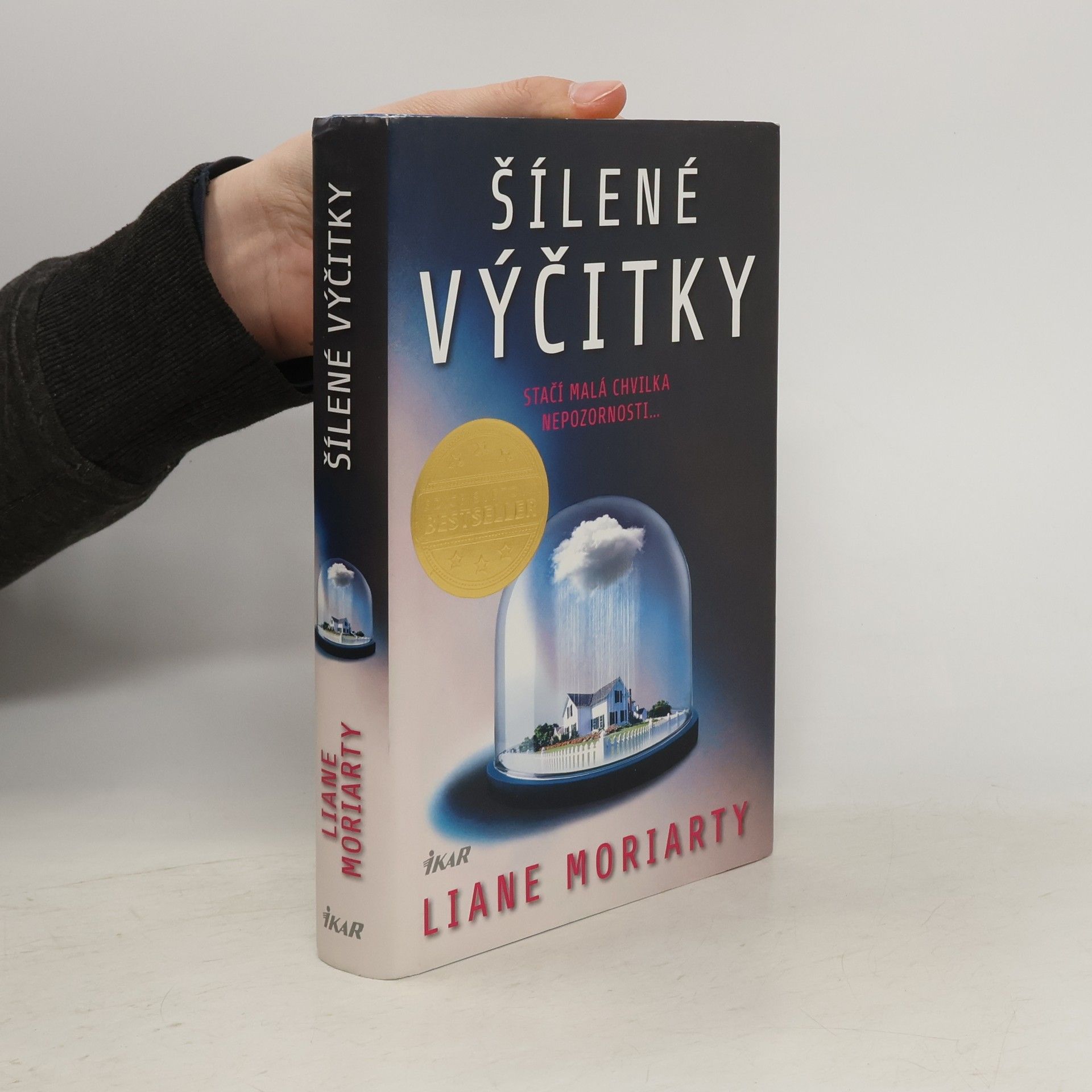 Liane Moriarty Šílené výčitky