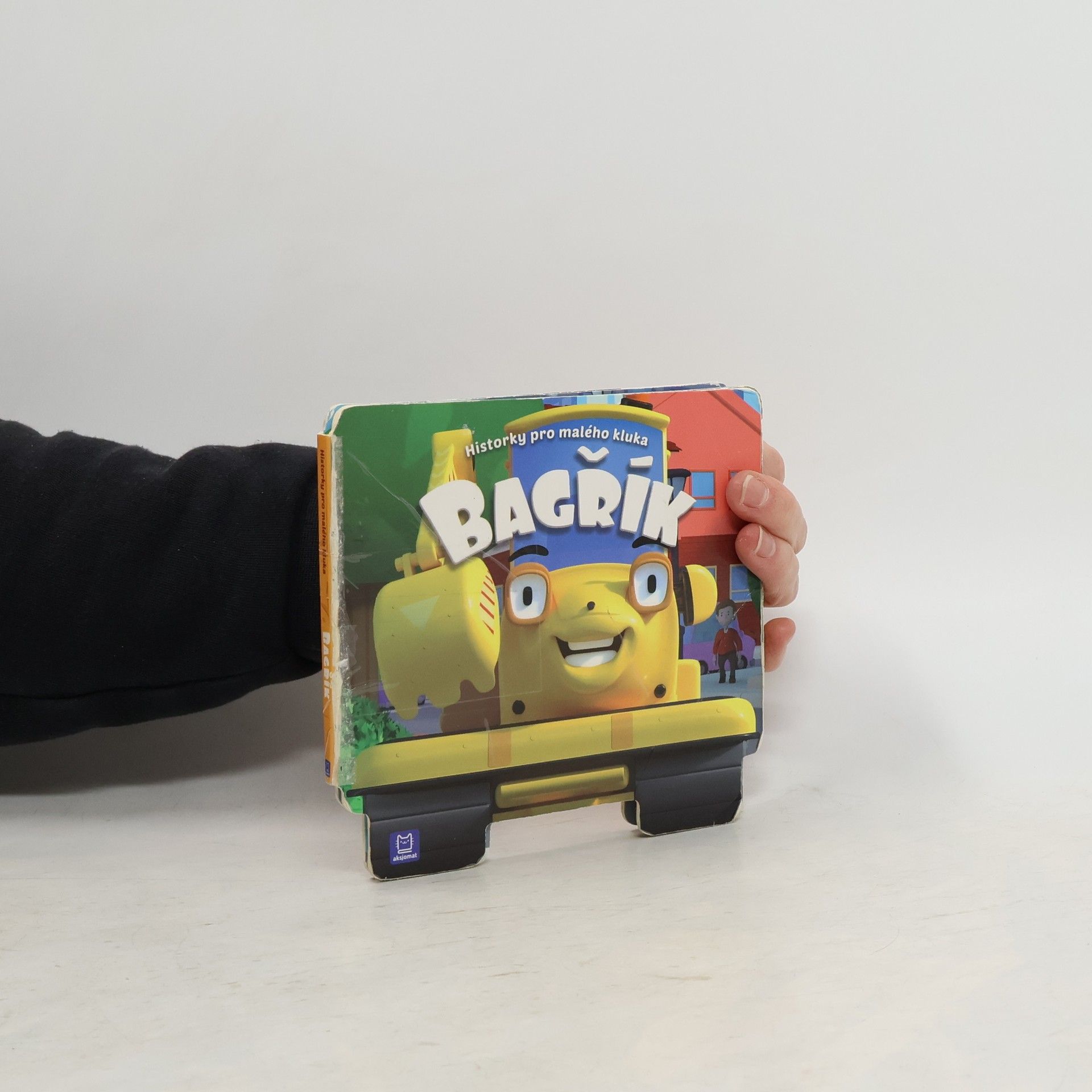 Grażyna Wasilewicz Bagřík