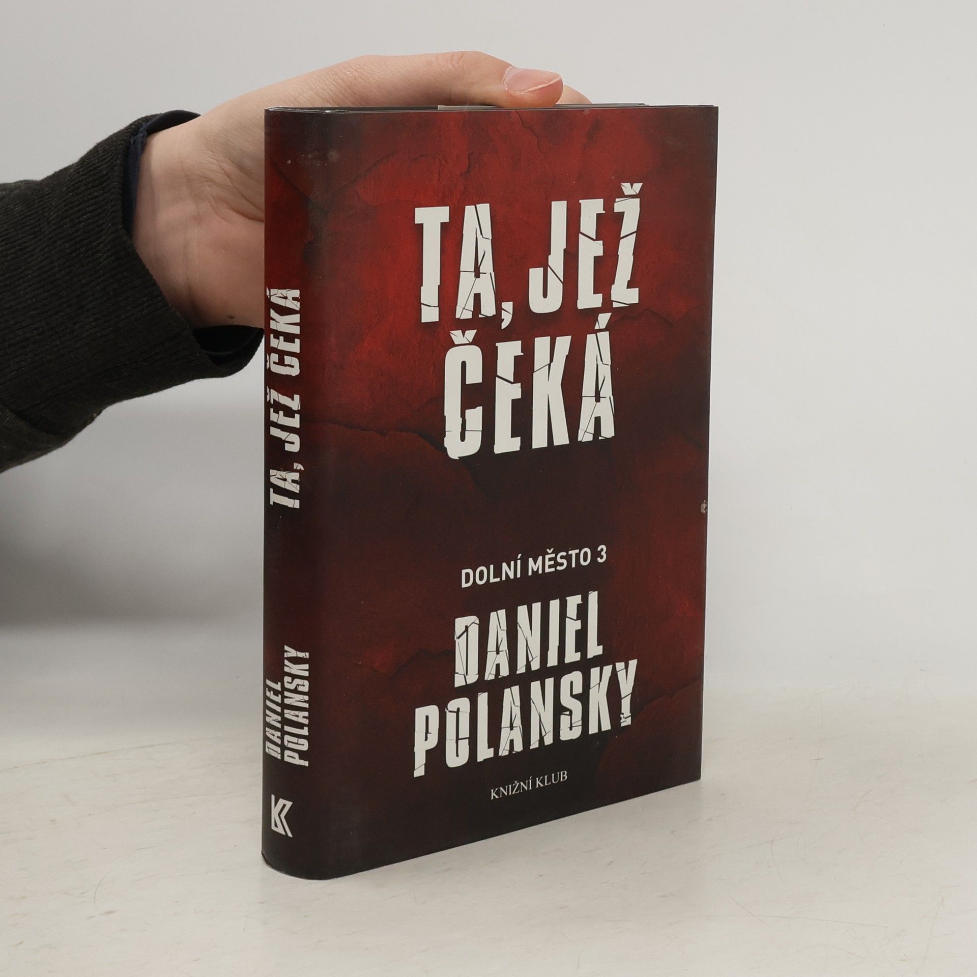 Daniel Polansky Ta, jež čeká