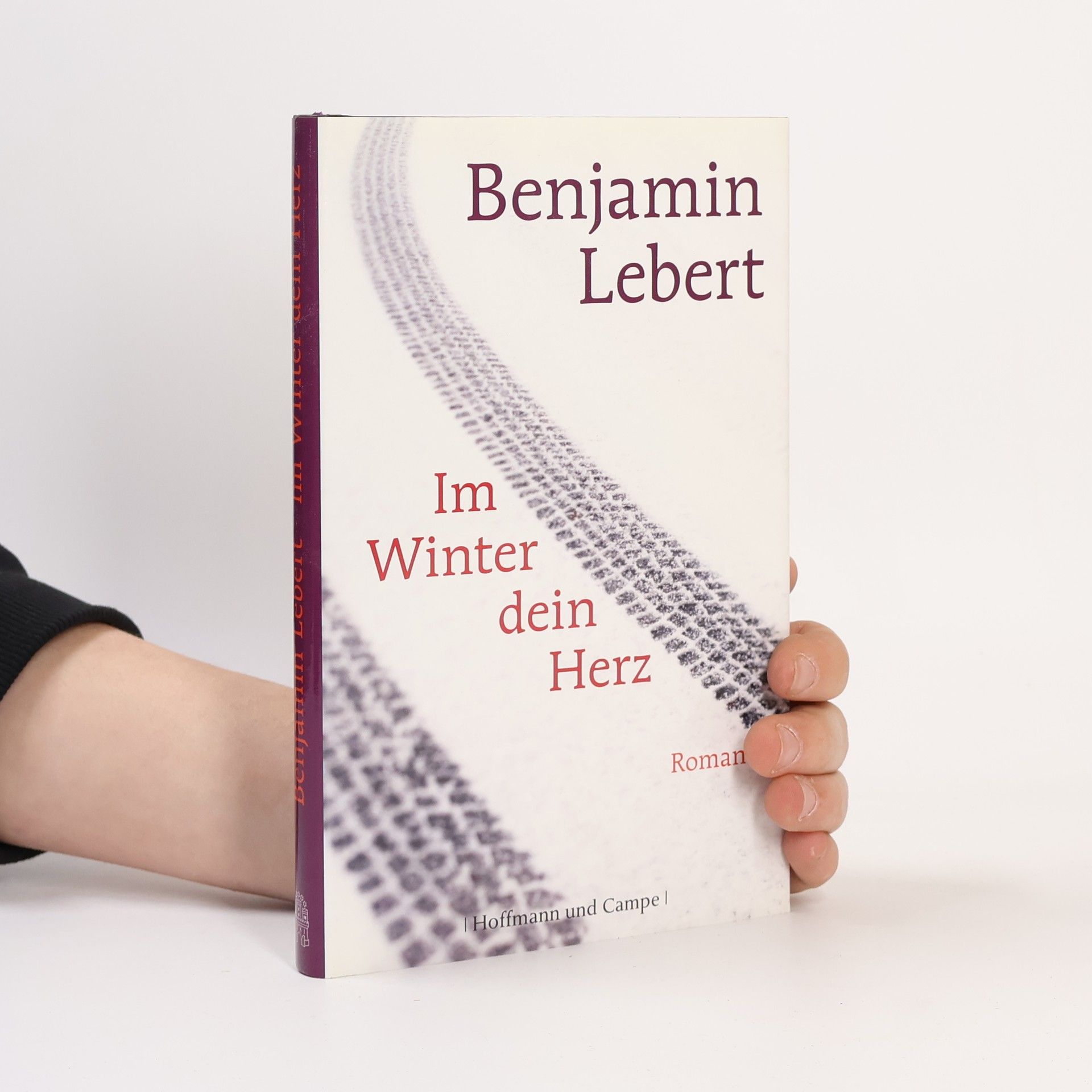 Benjamin Lebert Im Winter dein Herz