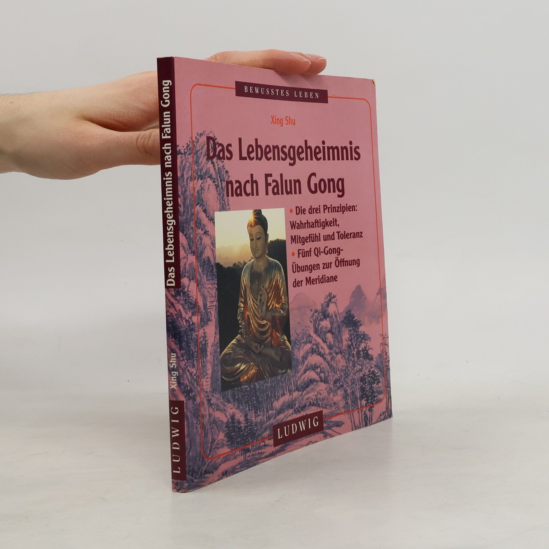 Xing Shu Das Lebensgeheimnis nach Falun Gong