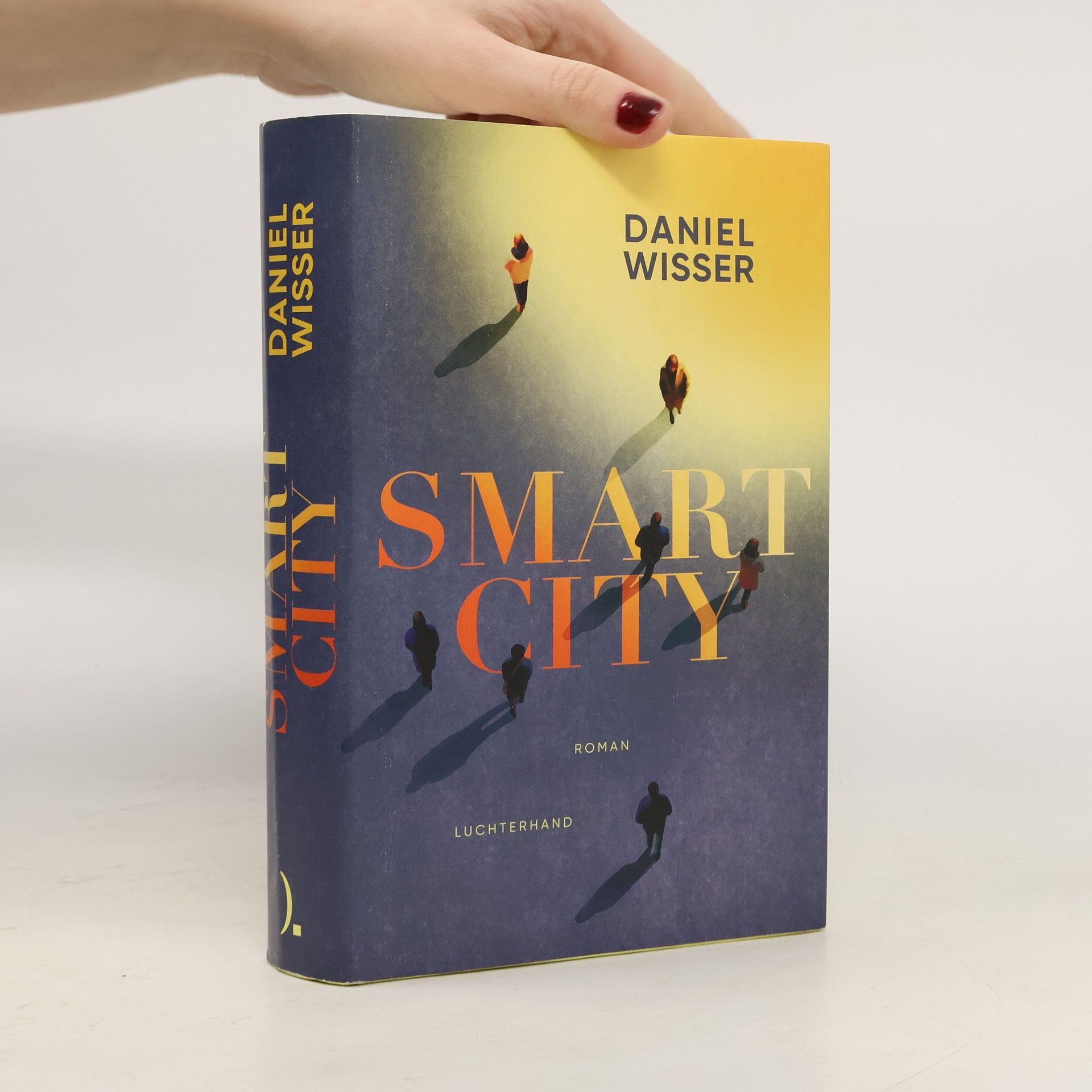 Daniel Wisser Smart City