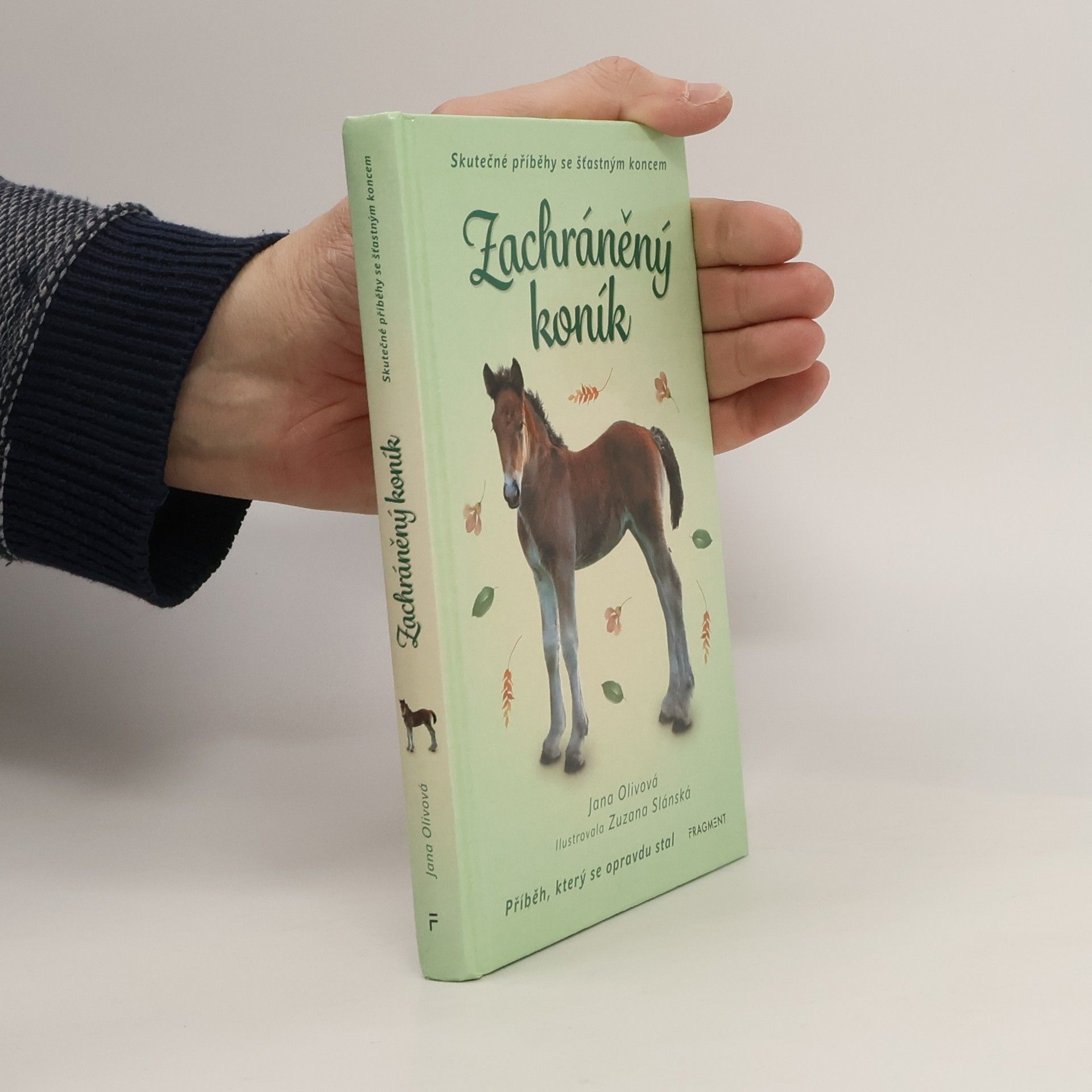 Zachráněný koník