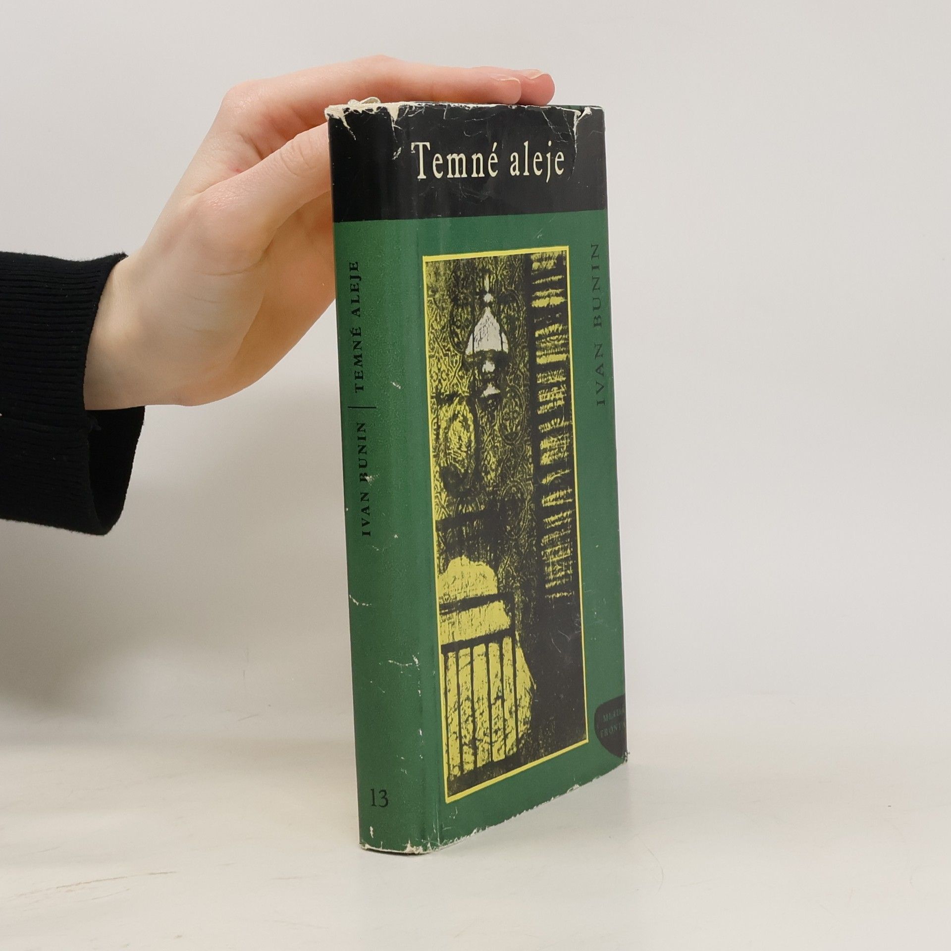 Ivan Alexejevič Bunin Temné aleje