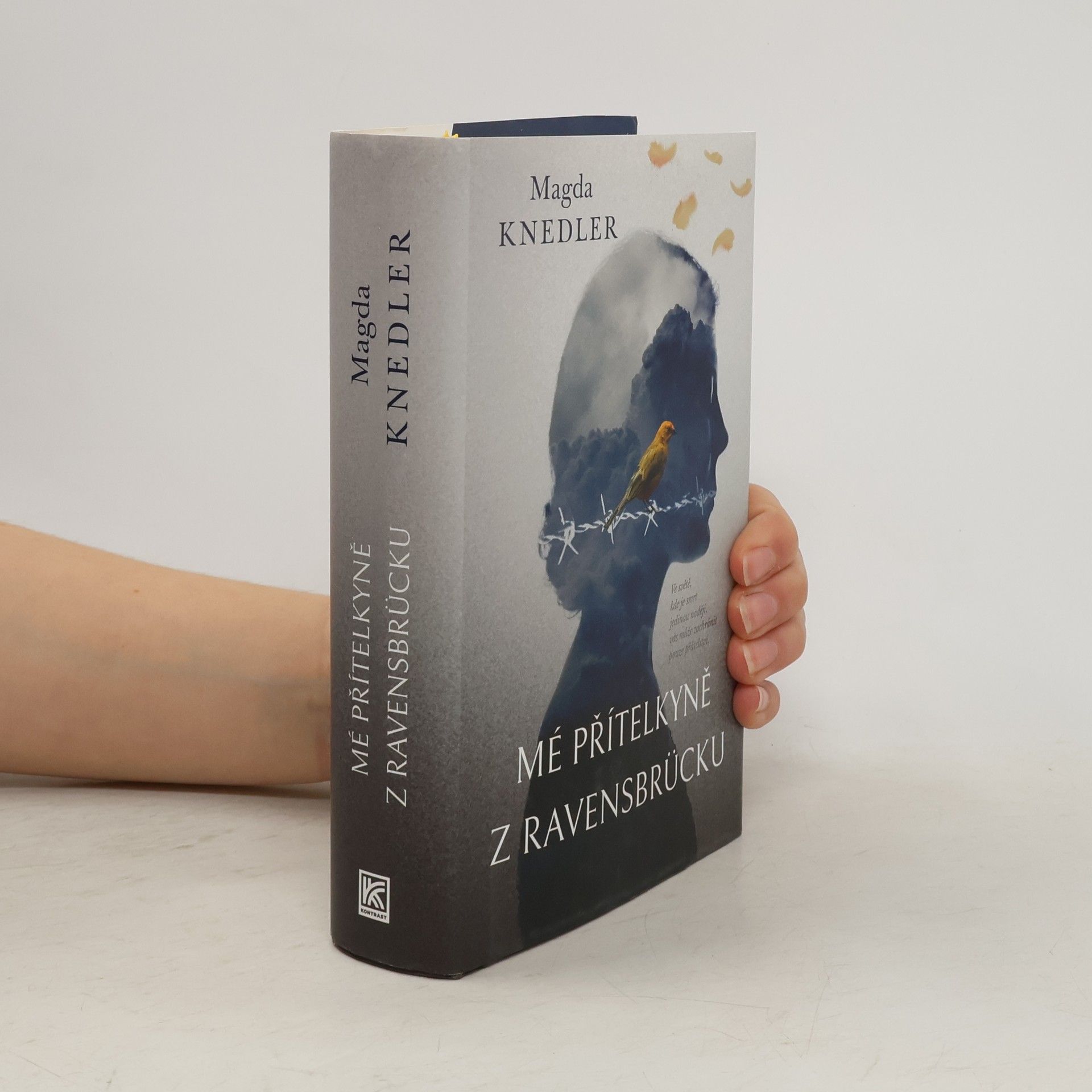 Magdalena Knedler Mé přítelkyně z Ravensbrücku