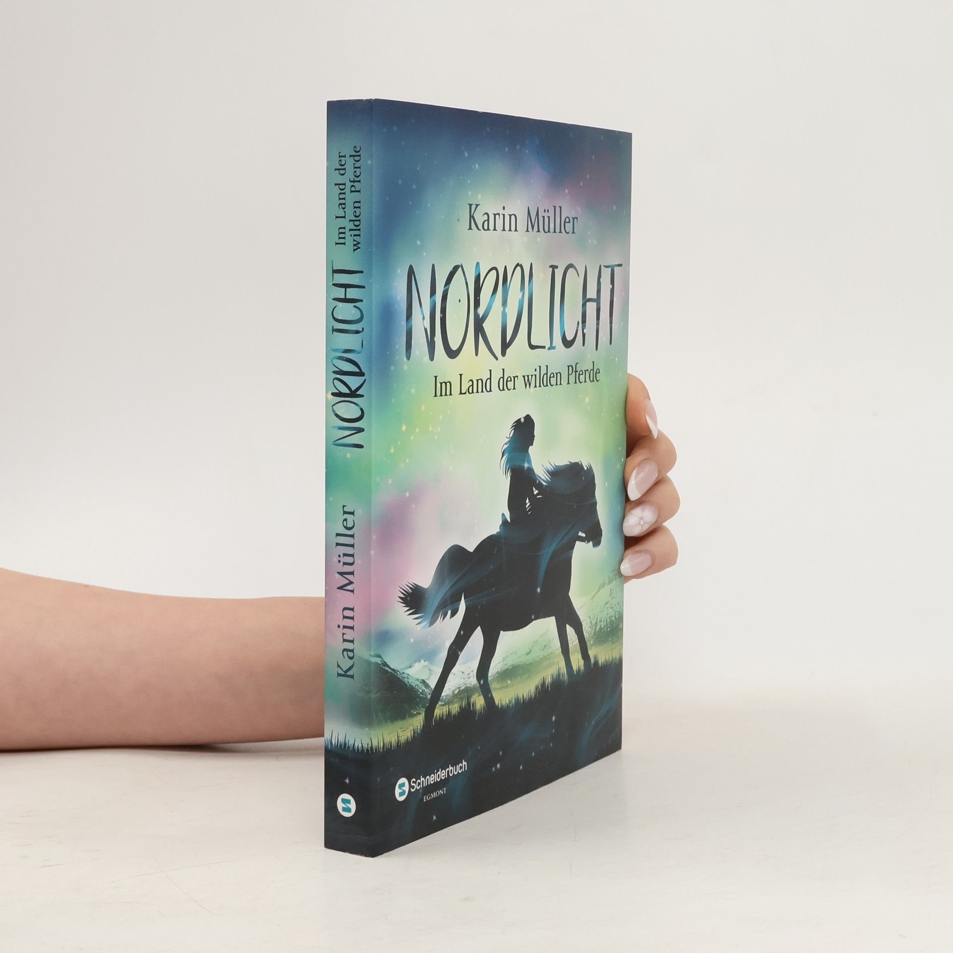 Karin Müller Nordlicht: Im Land der wilden Pferde