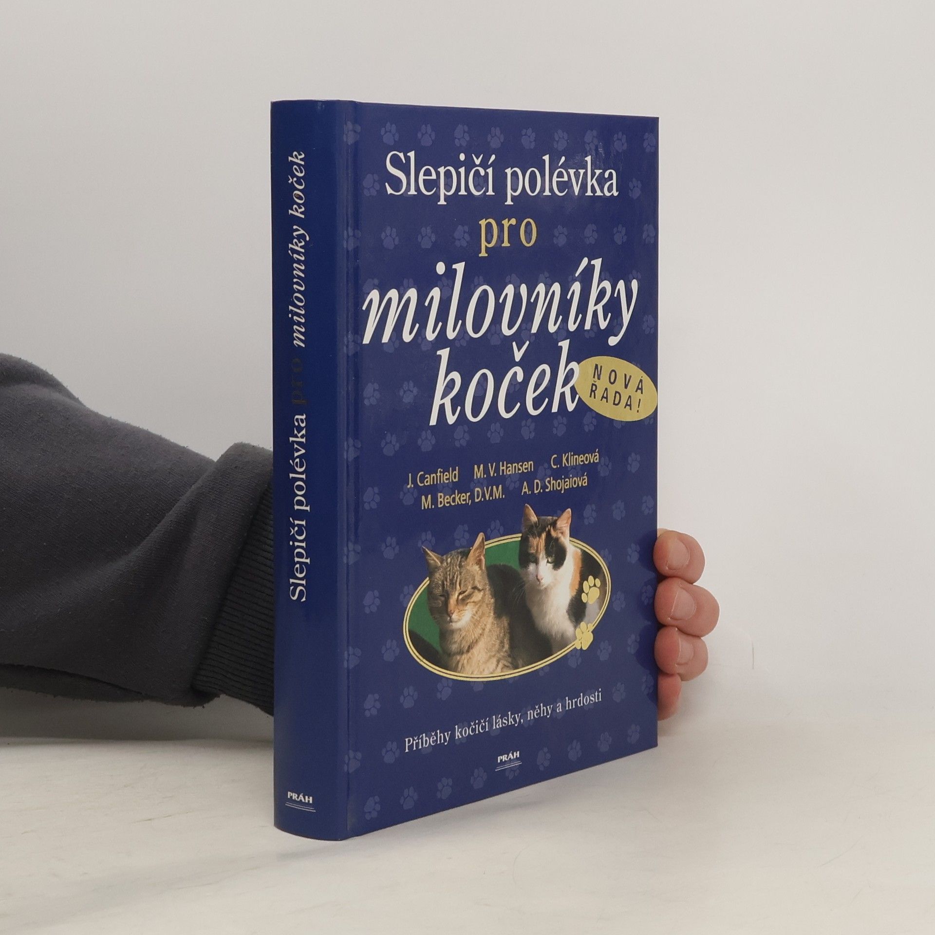 Jack Canfield Slepičí polévka pro milovníky koček: Příběhy o kočičí věrnosti, radosti i odvaze