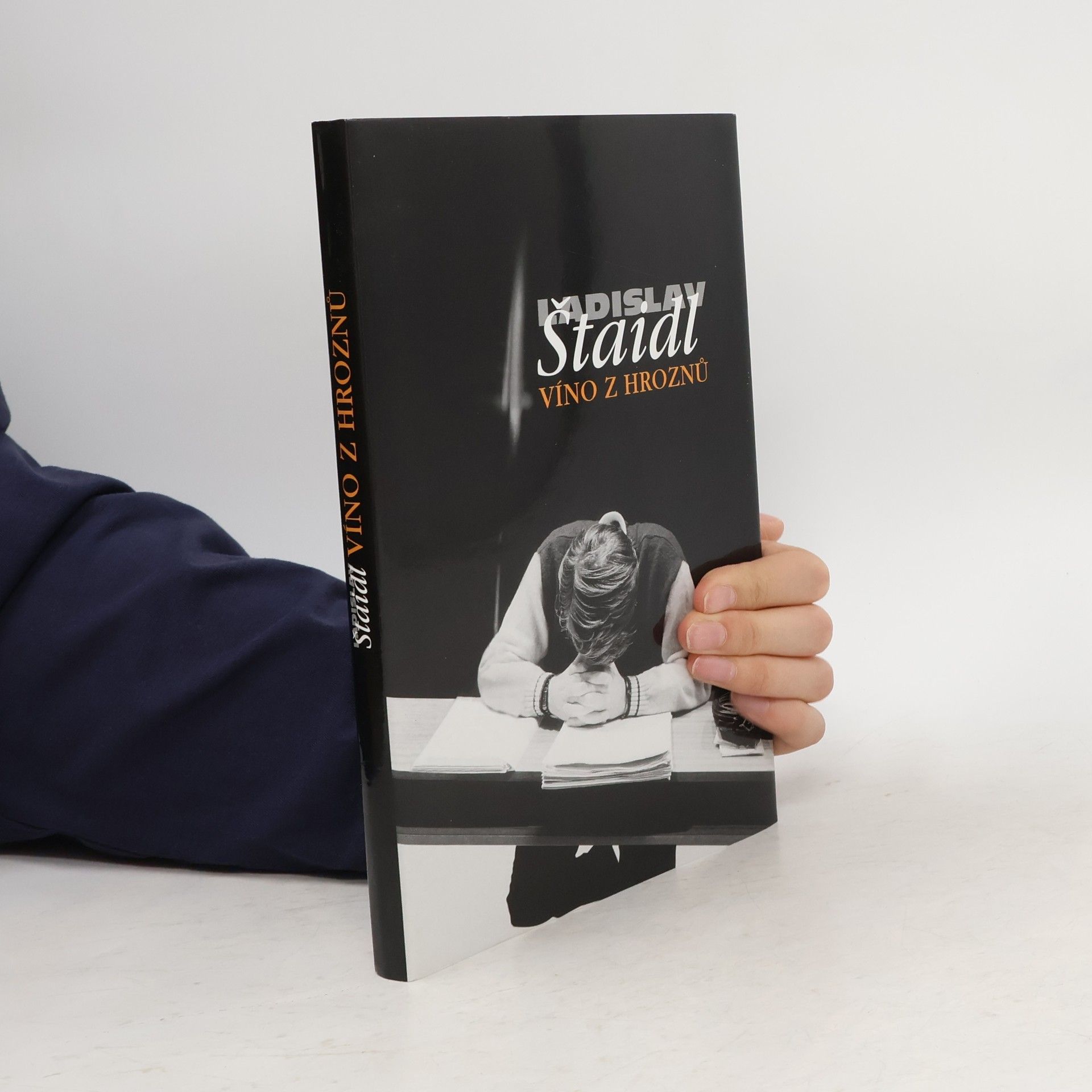Ladislav Štaidl Víno z hroznů