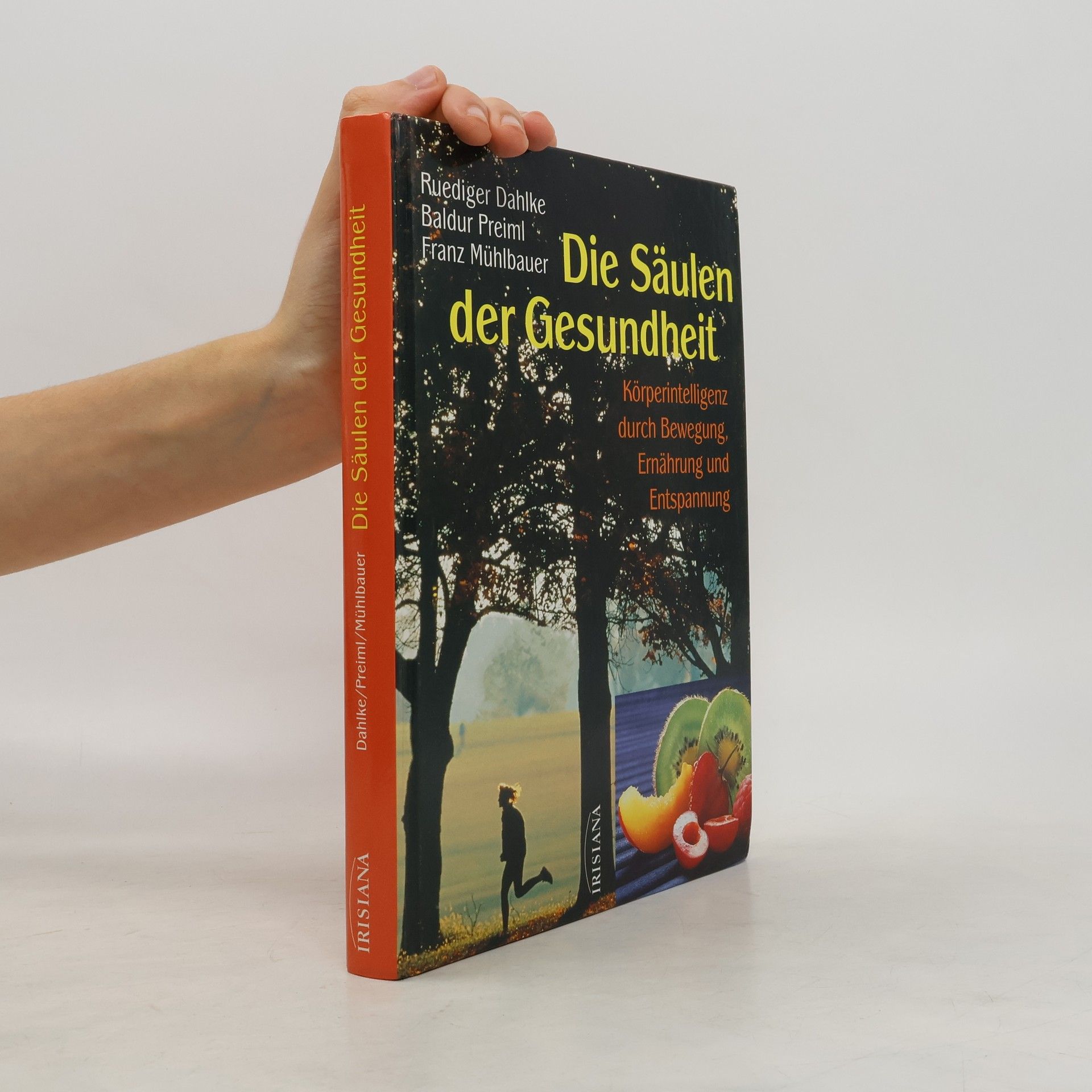 Ruediger Dahlke Die Säulen der Gesundheit