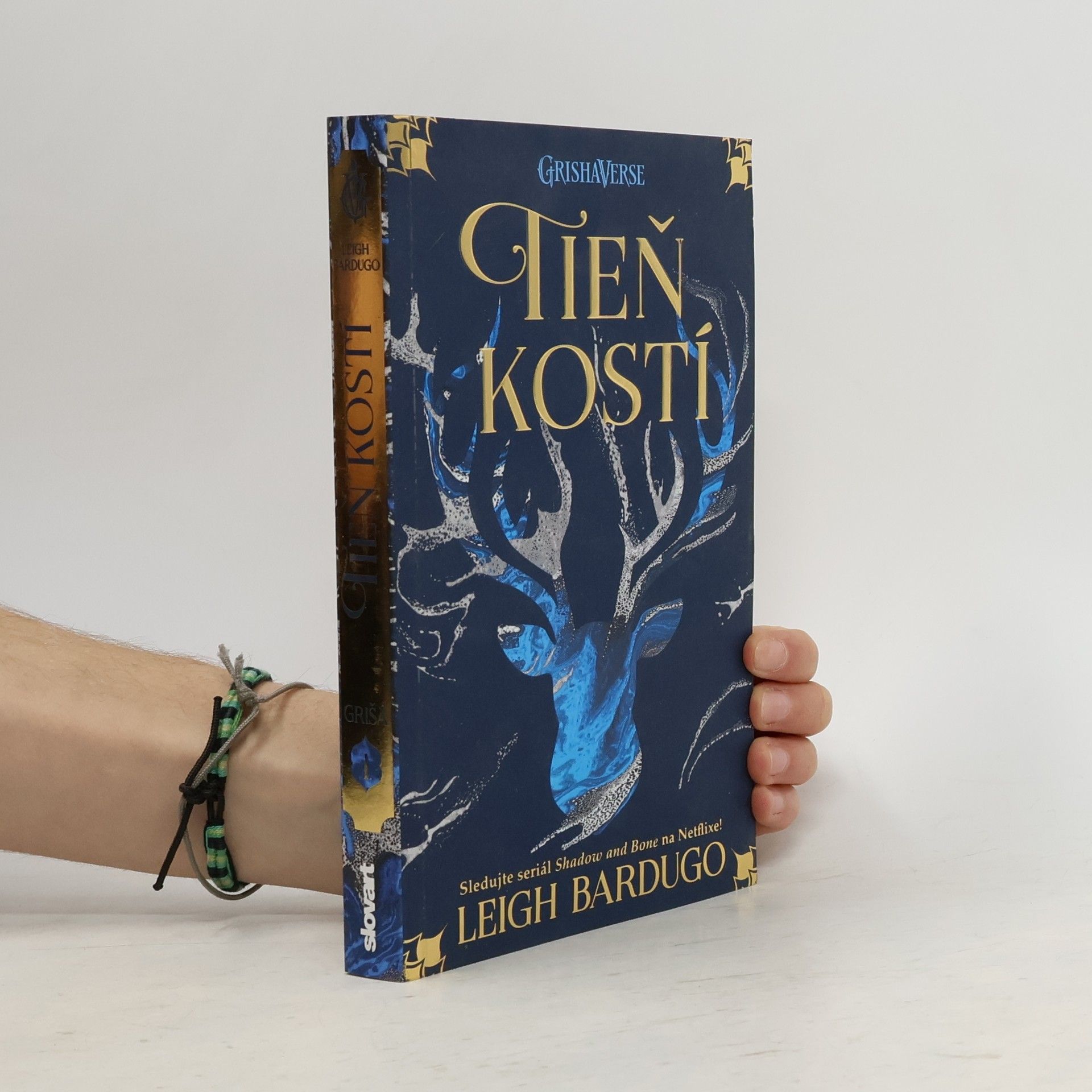 Leigh Bardugo Tieň kostí