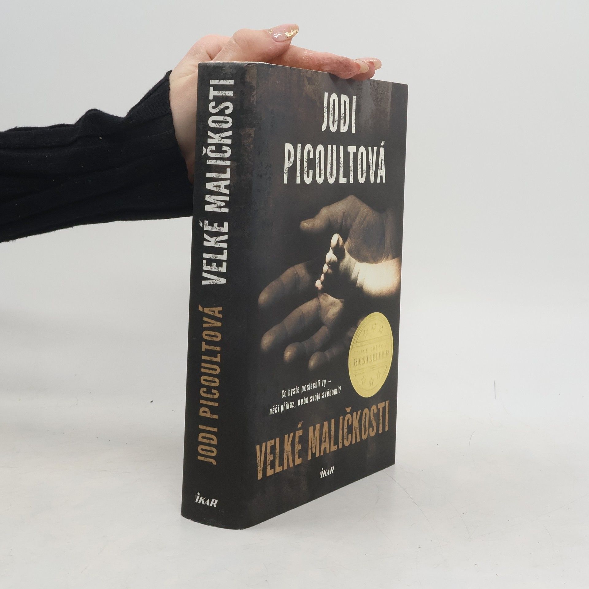 Jodi Picoult Velké maličkosti