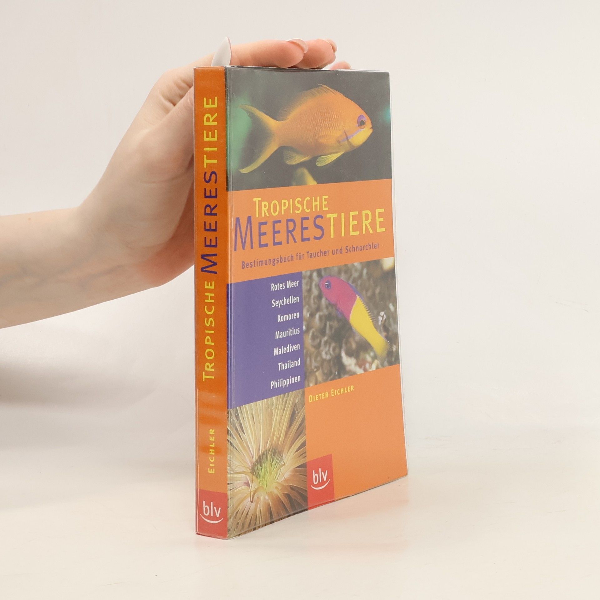 Dieter Eichler Tropische Meerestiere
