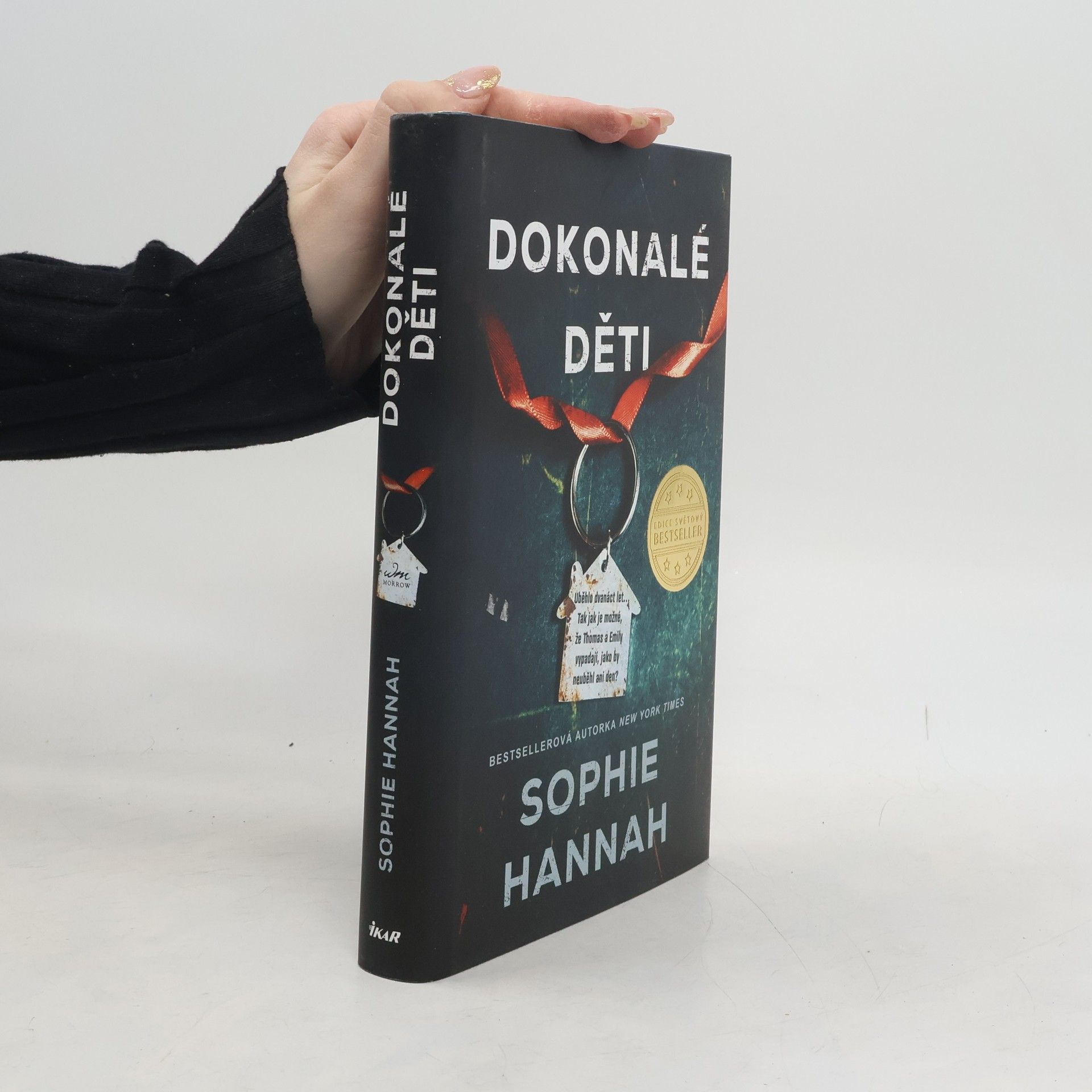 Sophie Hannah Dokonalé děti