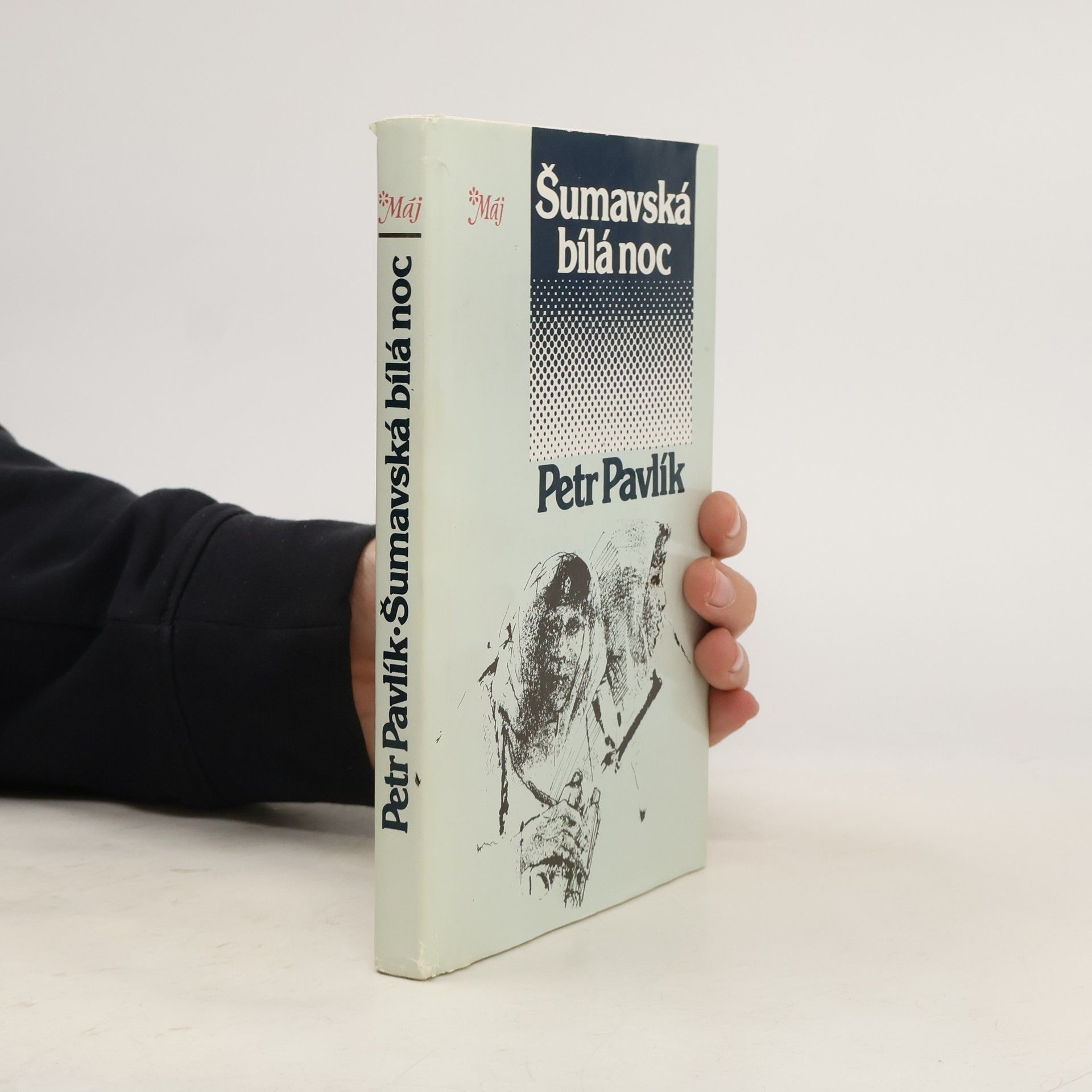 Petr Pavlík Šumavská bílá noc