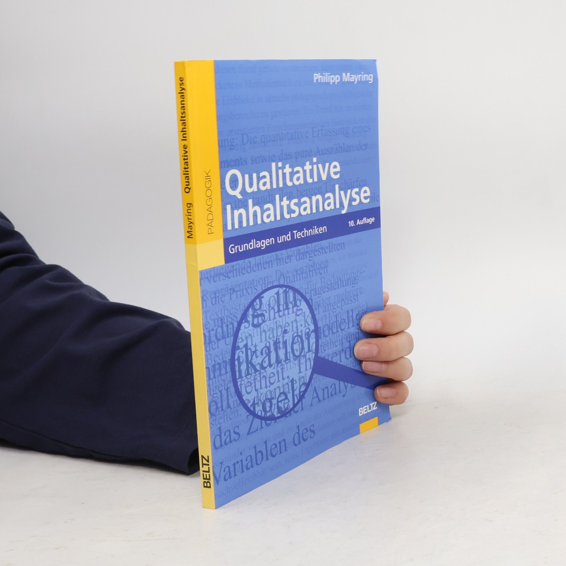 Philipp Mayring Qualitative Inhaltsanalyse