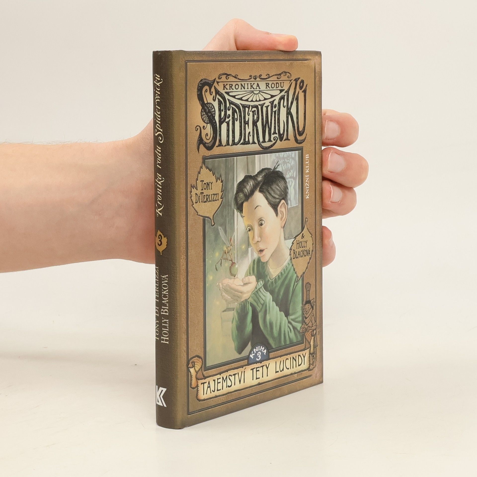 Tony DiTerlizzi Kronika rodu Spiderwicků. Kniha 3, Tajemství tety Lucindy