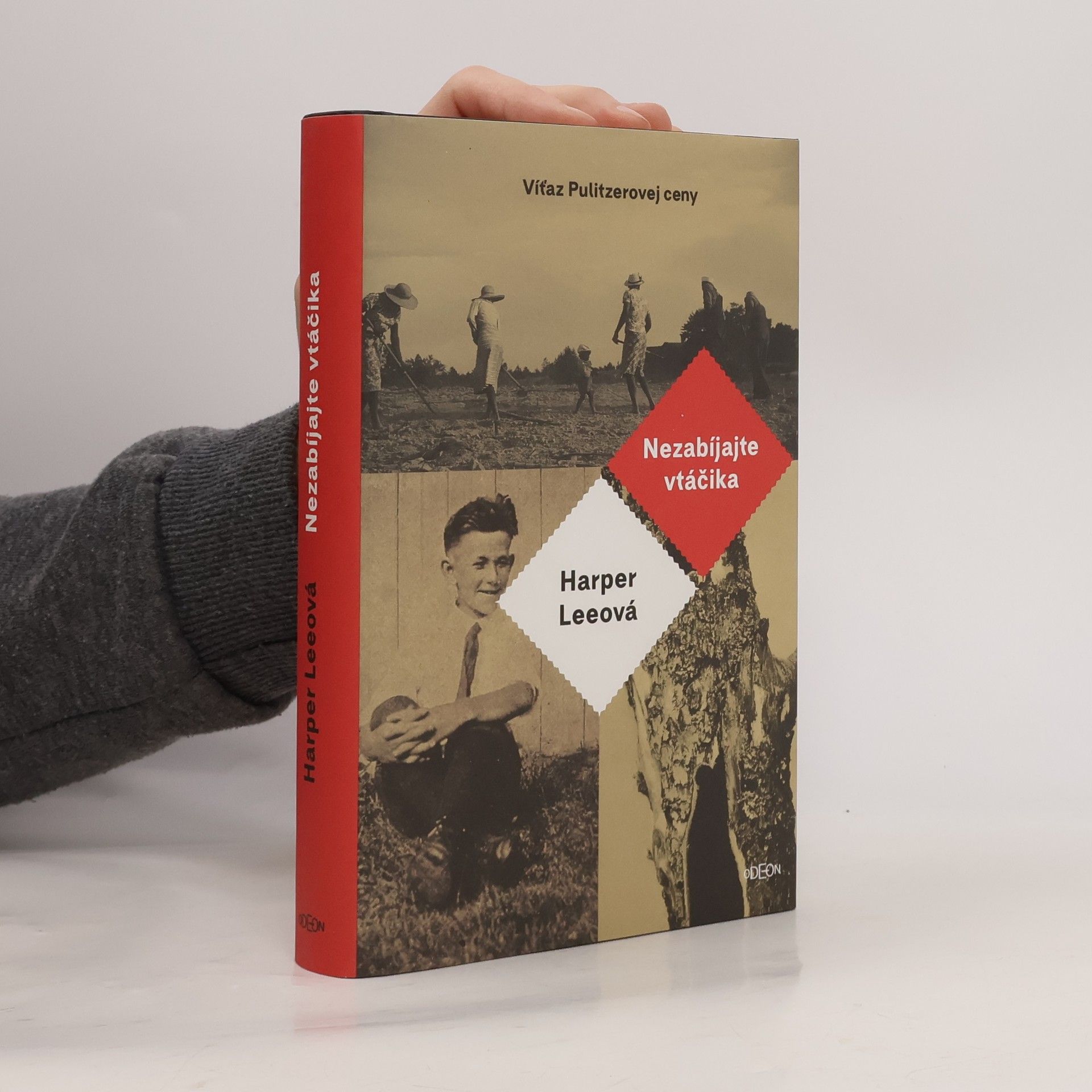 Harper Lee Nezabíjajte vtáčika