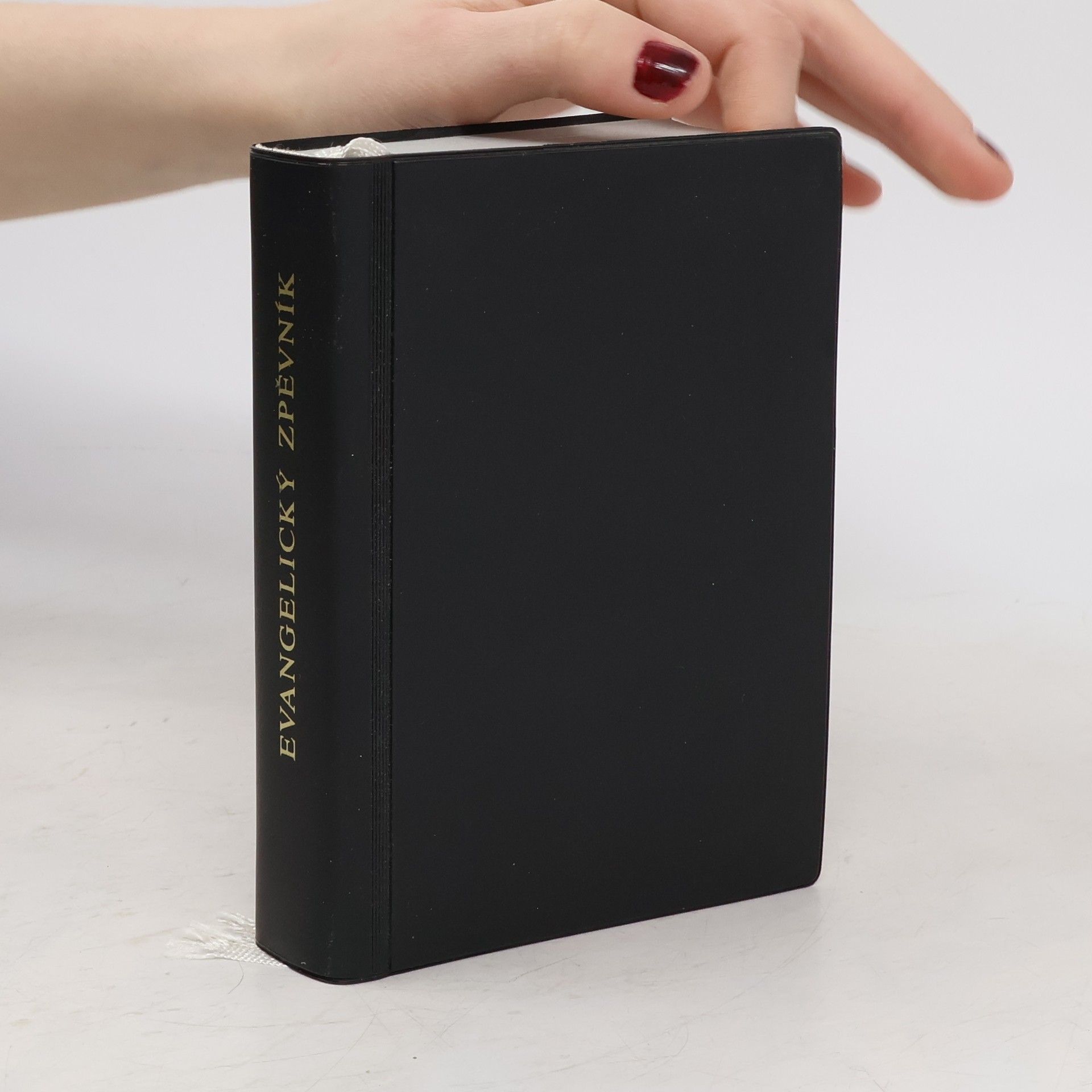 kolektiv Evangelický zpěvník