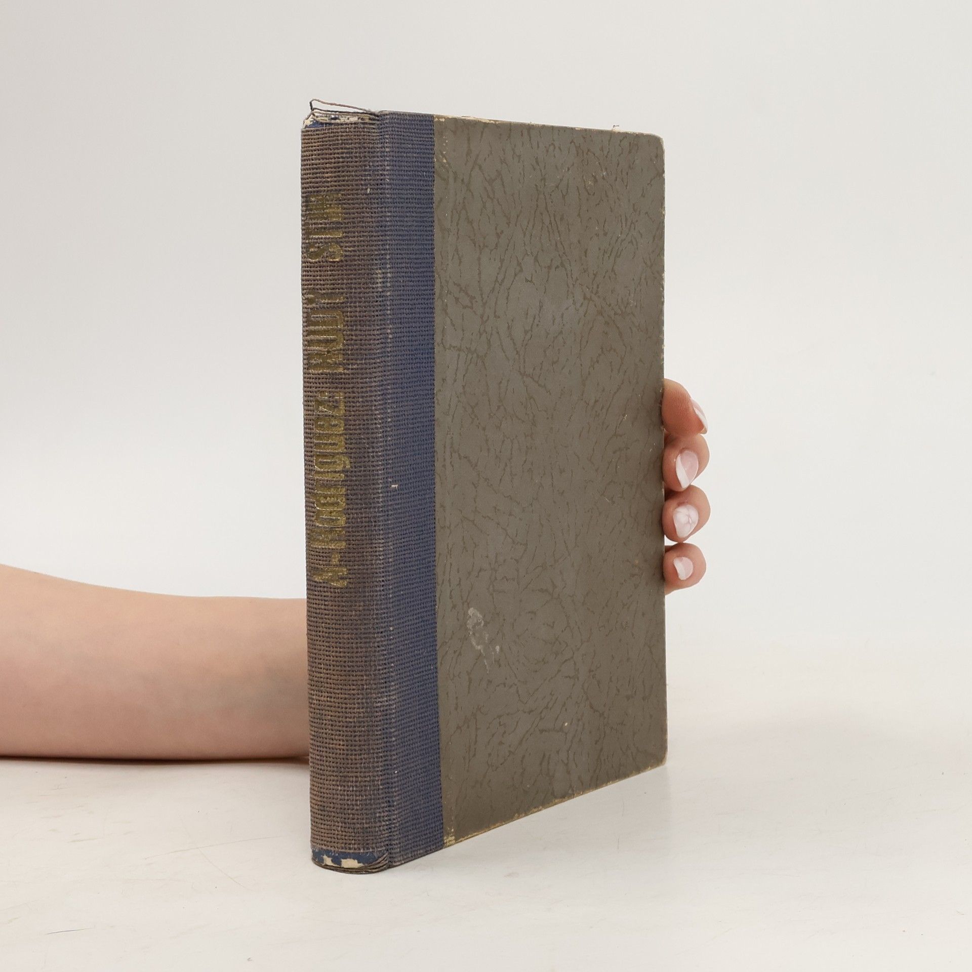 Endre Andor Rodriguez Rudý štír