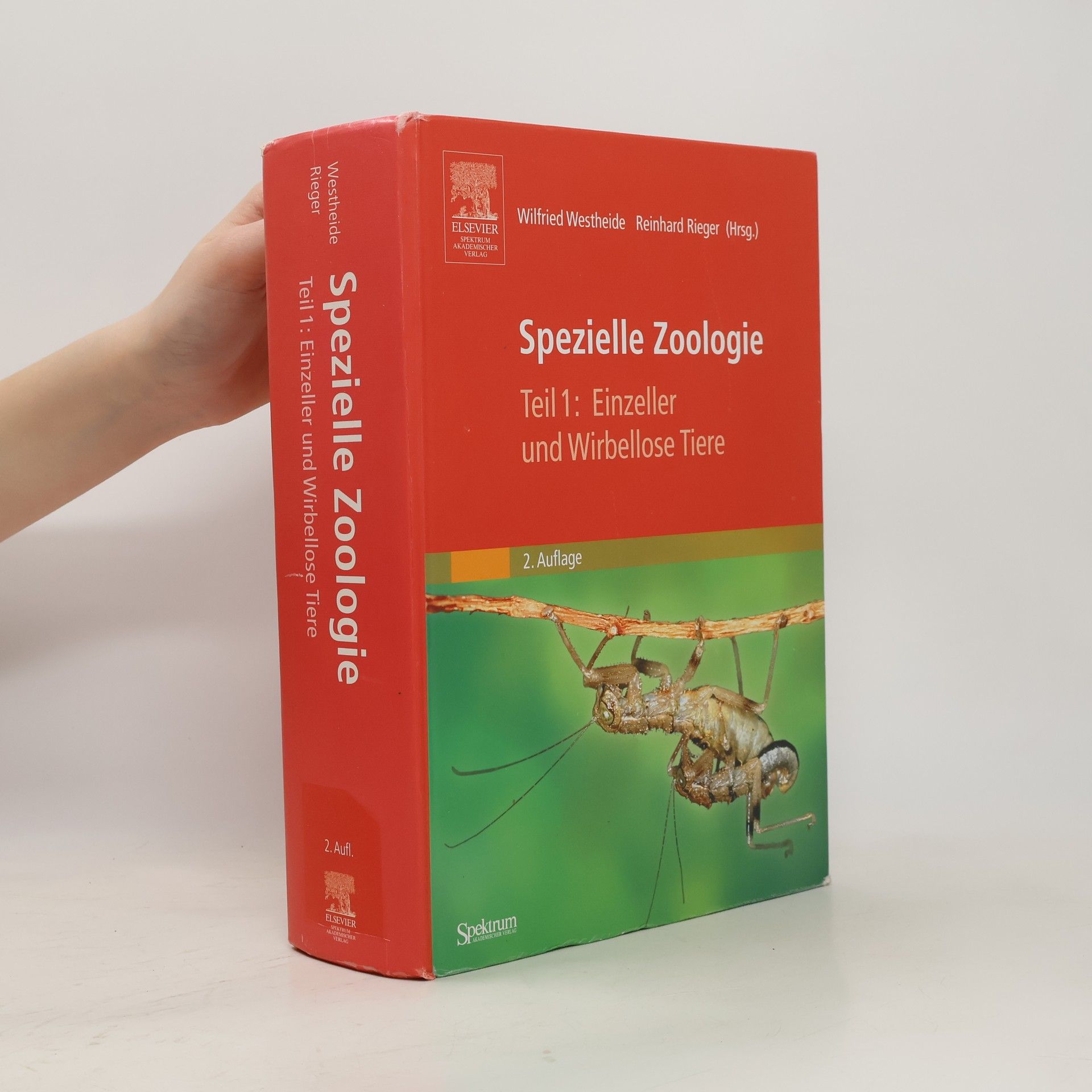 Wilfried Westheide Spezielle Zoologie. Teil 1. Einzeller und Wirbellose Tiere - 2. Auflage