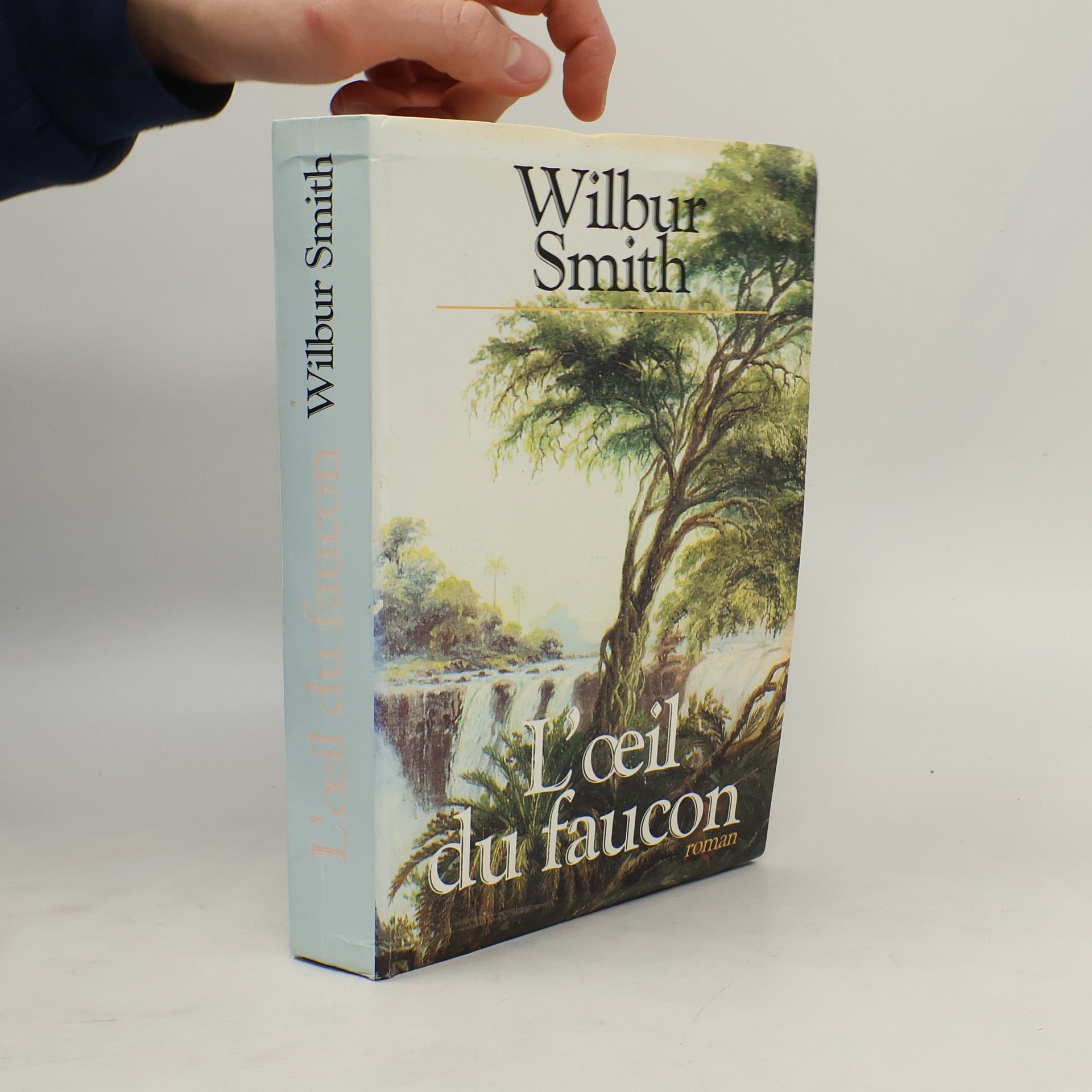 Thierry Piélat L'oeil du faucon