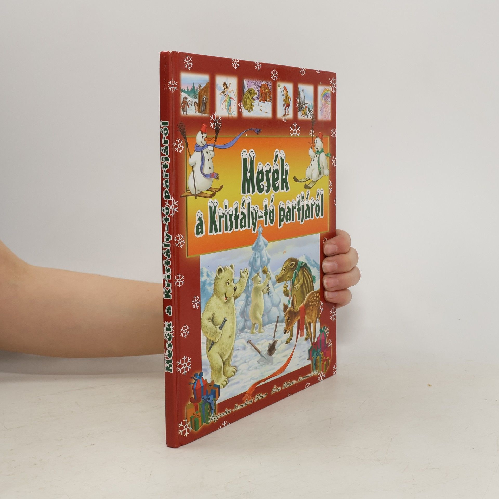 Annamária Fekete Mesék a Kristály-tó partjáról