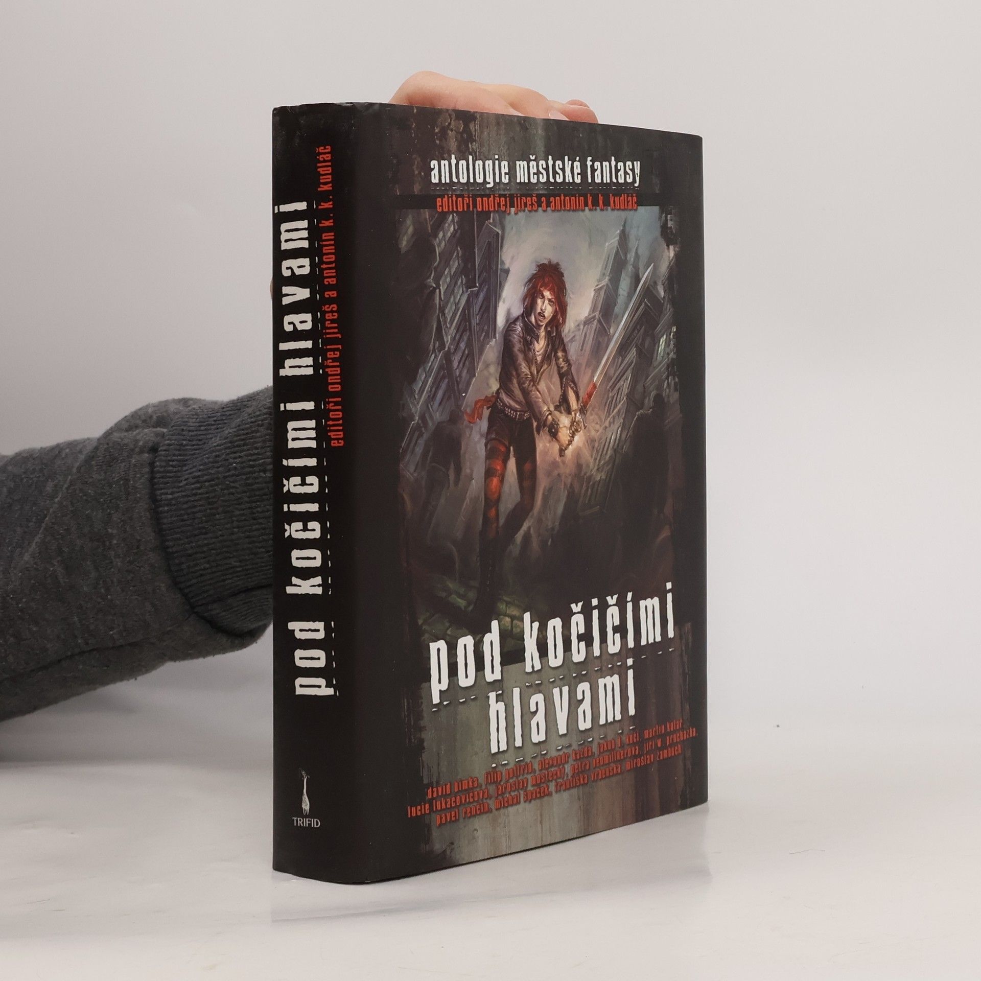 Pod kočičími hlavami