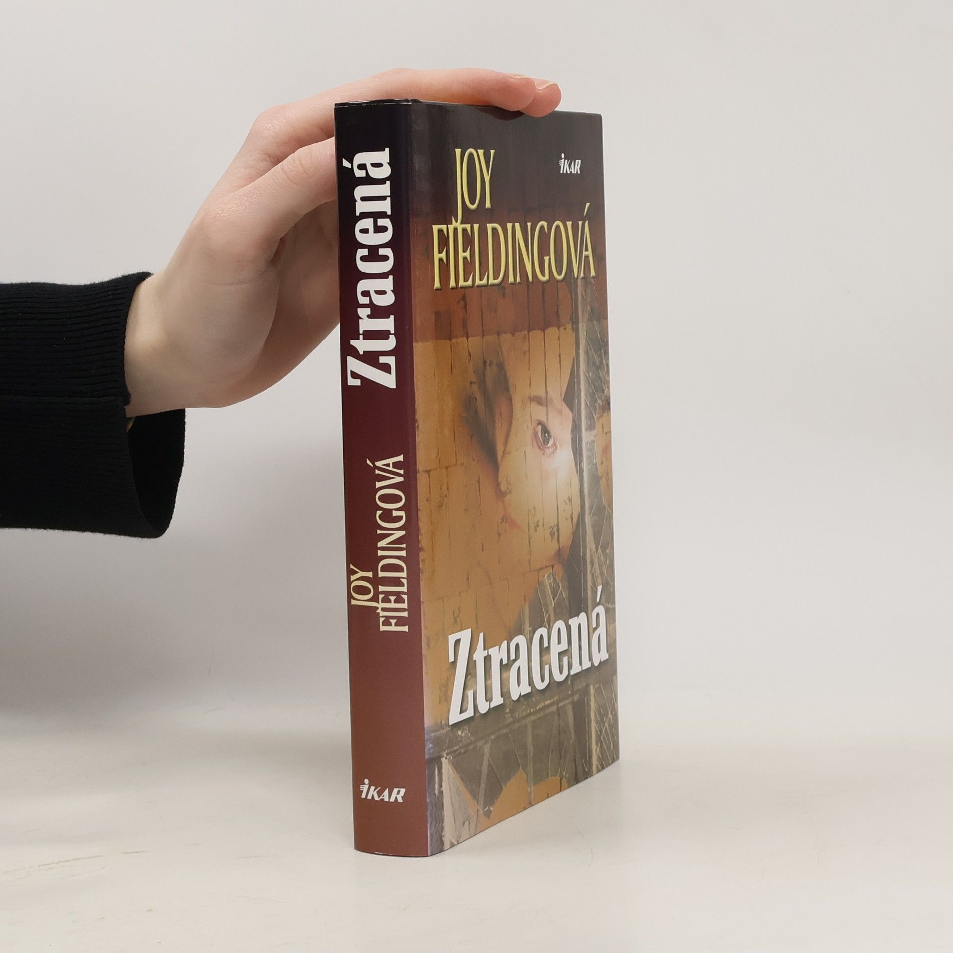 Joy Fielding Ztracená