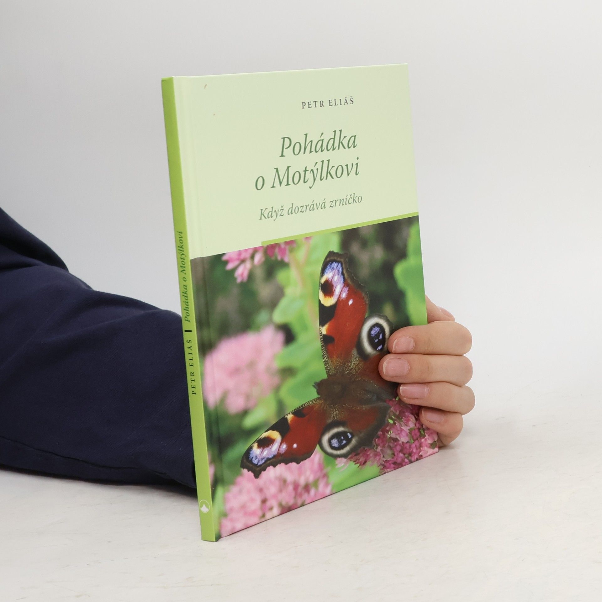 Pohádka o Motýlkovi