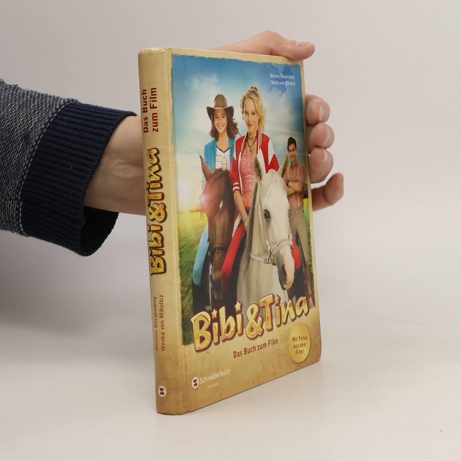 Bibi & Tina Das buch zum film