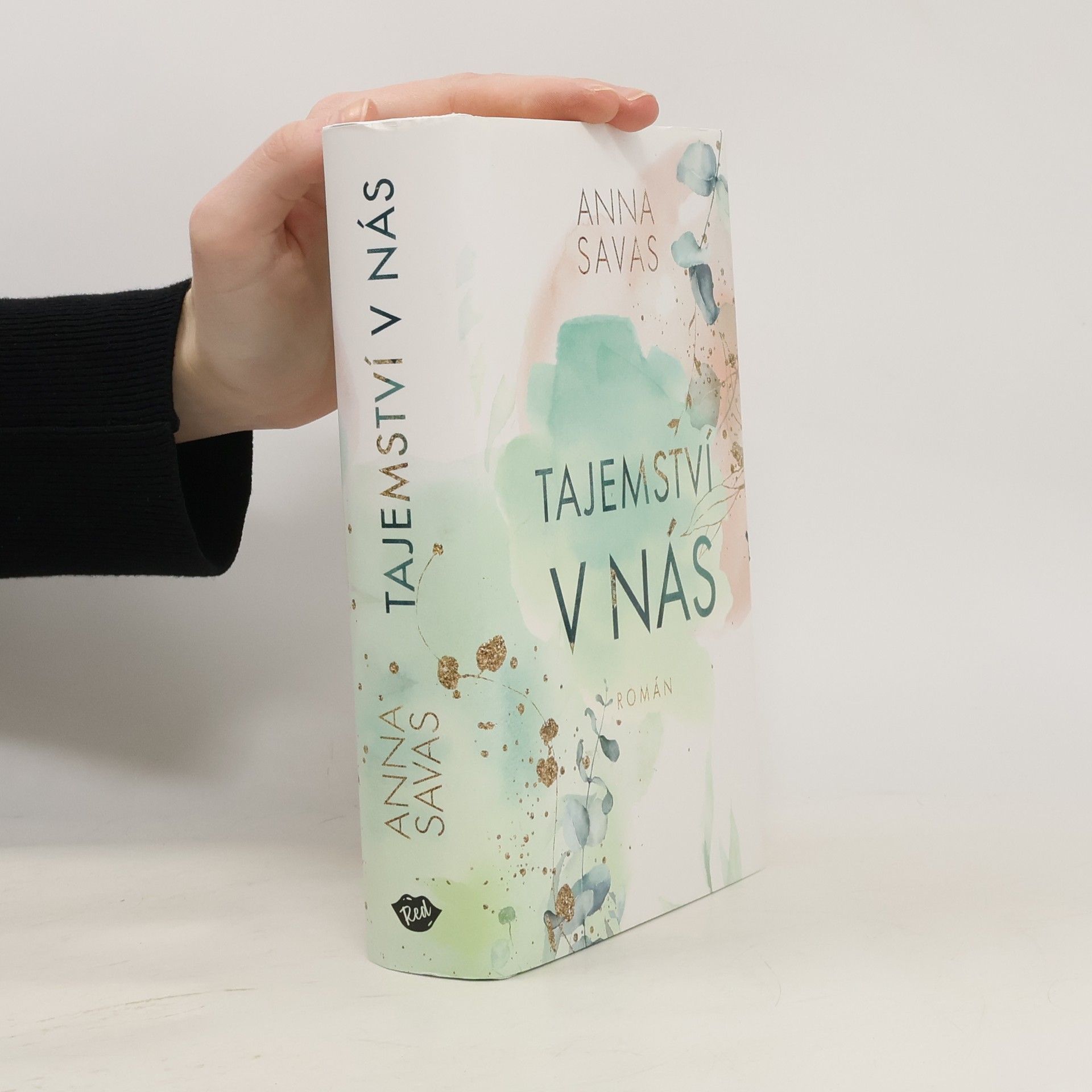 Anna Savas Tajemství v nás