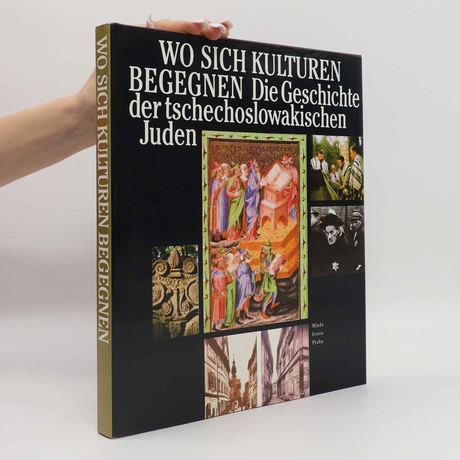 Natalia Berger Wo sich Kulturen begegnen. Die Geschichte der tschechoslowakischen Juden
