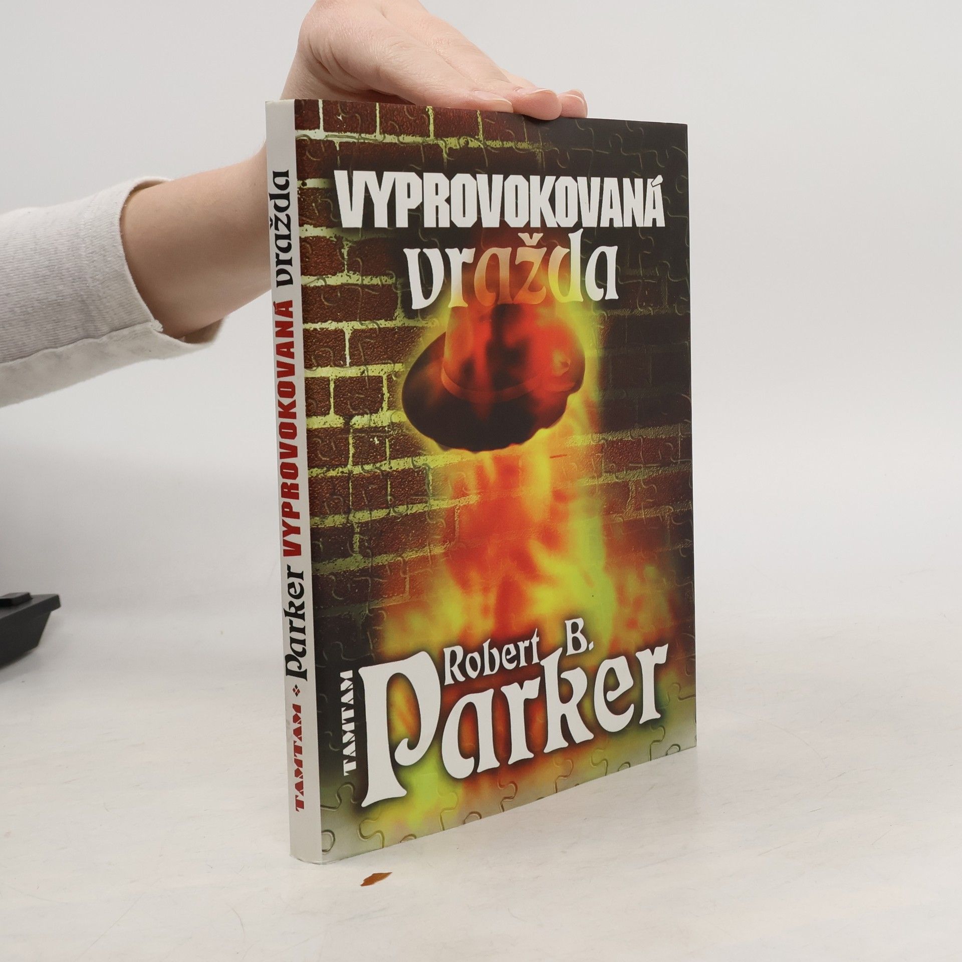 Robert B. Parker Vyprovokovaná vražda