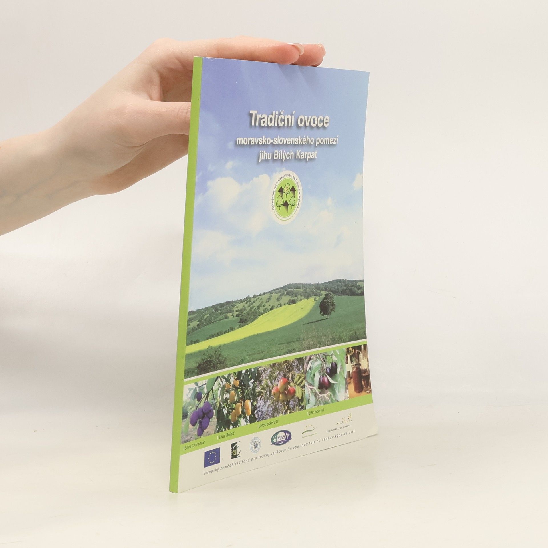 Kolektív autorov Tradiční ovoce moravsko-slovenského pomezí jihu Bílých Karpat
