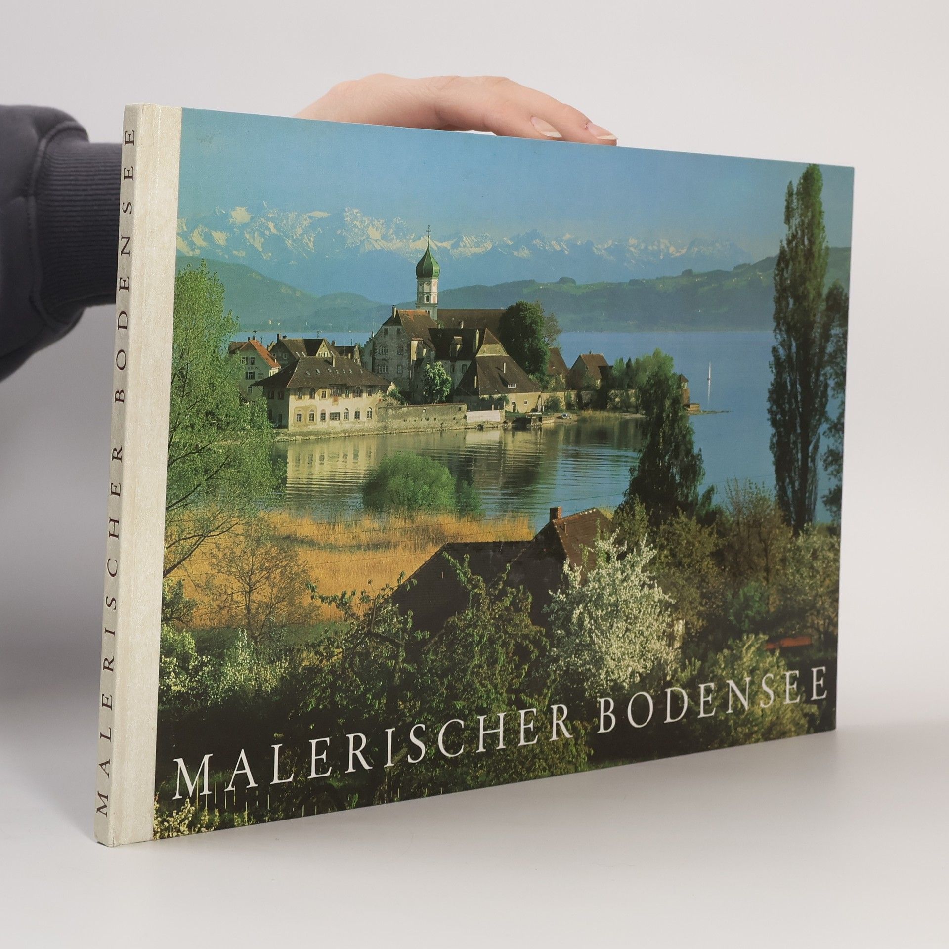 Toni Schneiders Malerischer Bodensee
