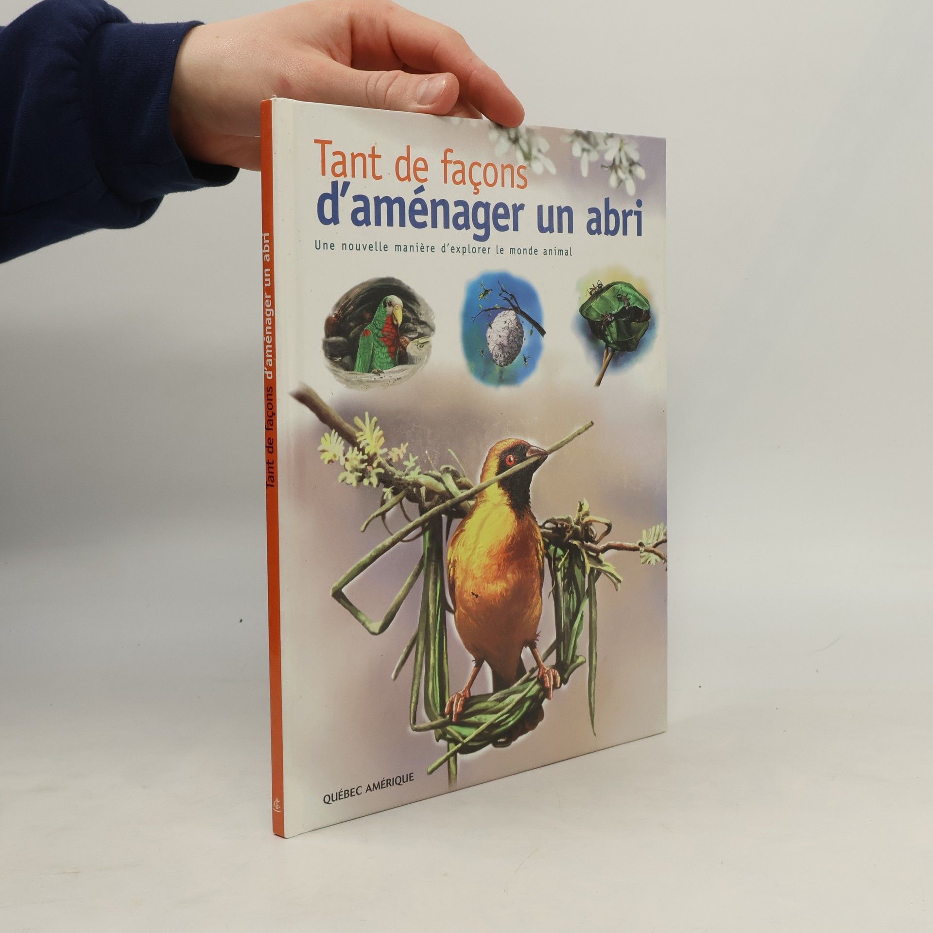 Diane Martin Tant de façons d'aménager un abri