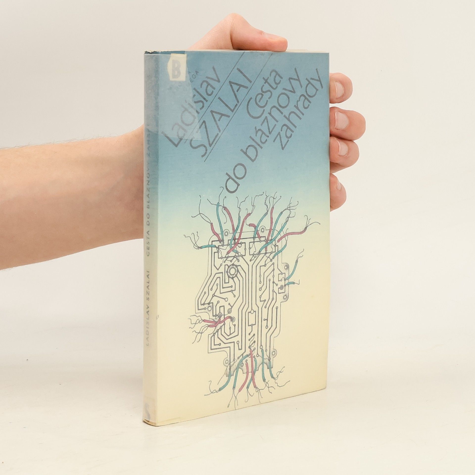 Ladislav Szalai Cesta do bláznovy zahrady