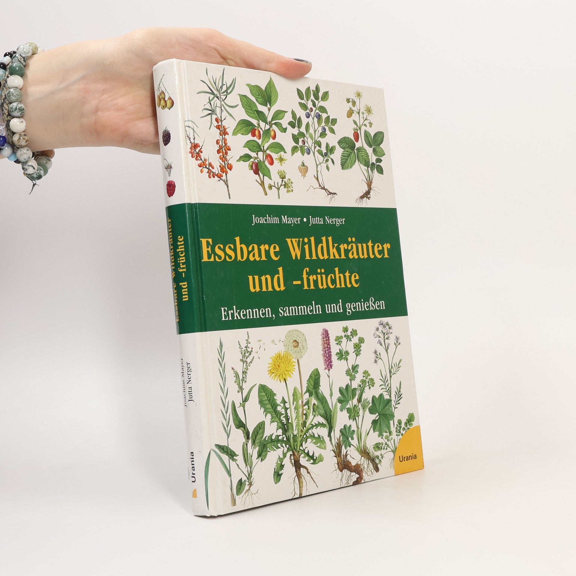 Joachim Mayer Essbare Wildkräuter und -früchte